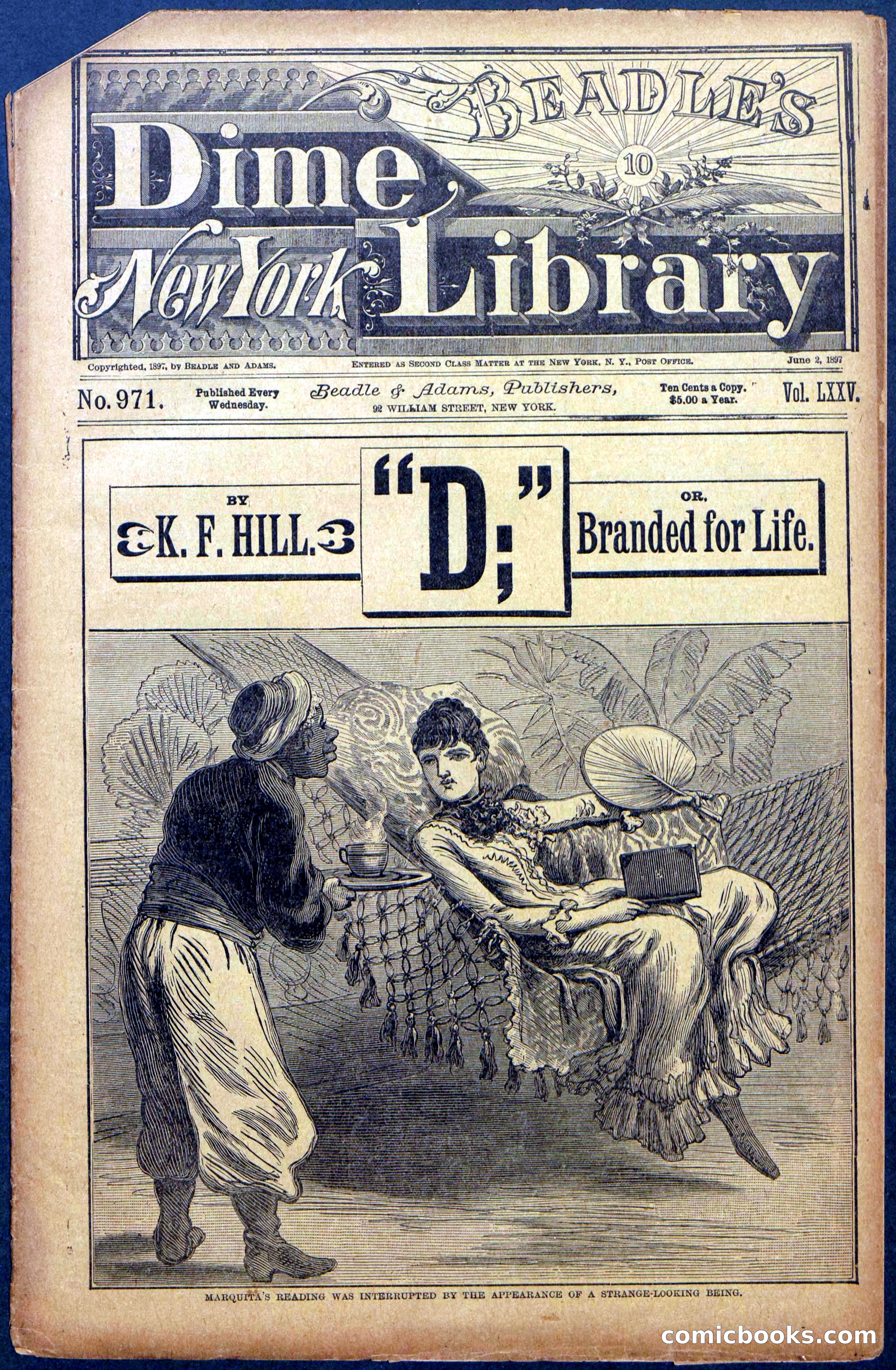 Beadle's New York Dime Library No. 971 — page 1 of 24