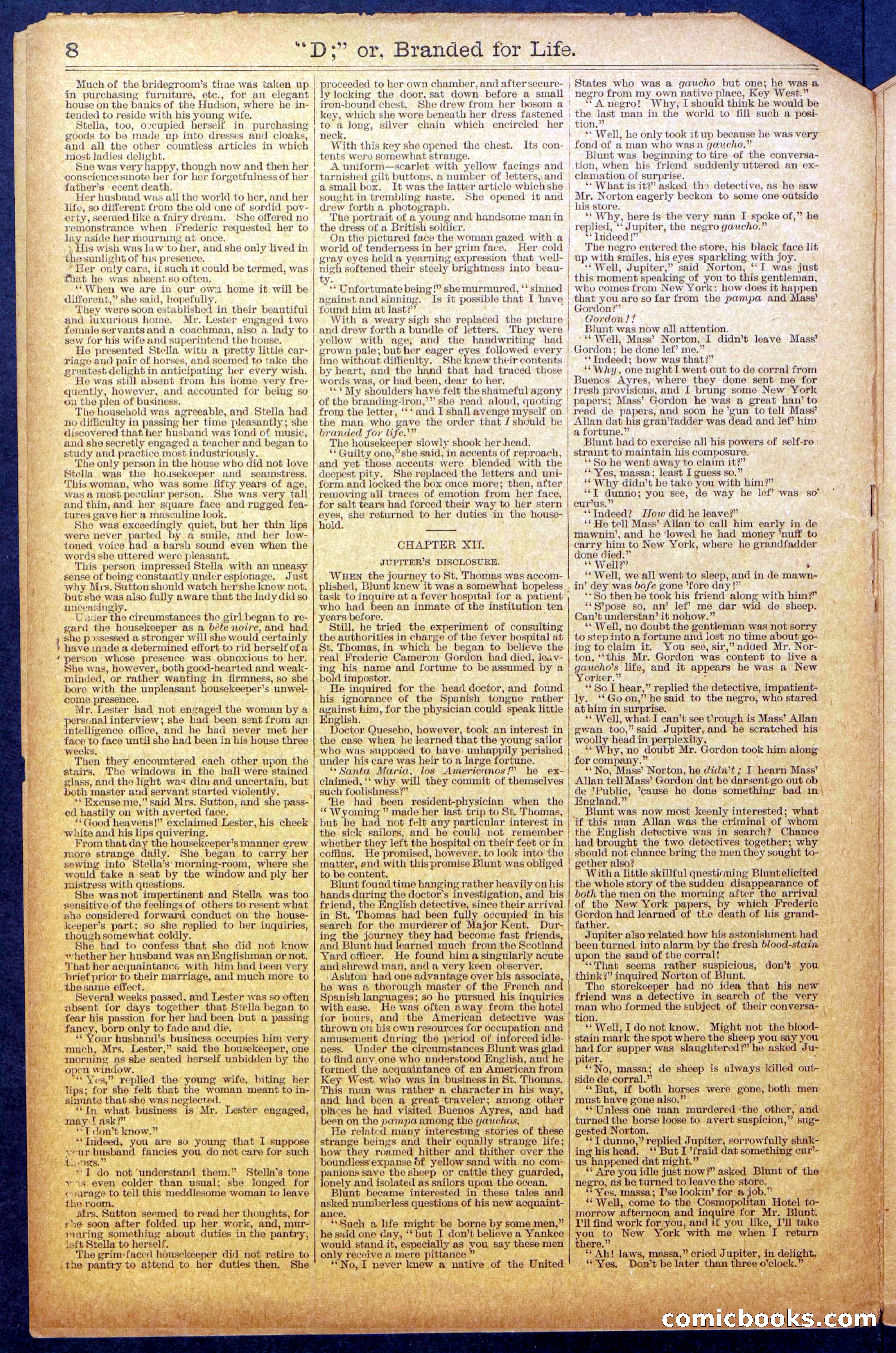 Beadle's New York Dime Library No. 971 — page 8 of 24