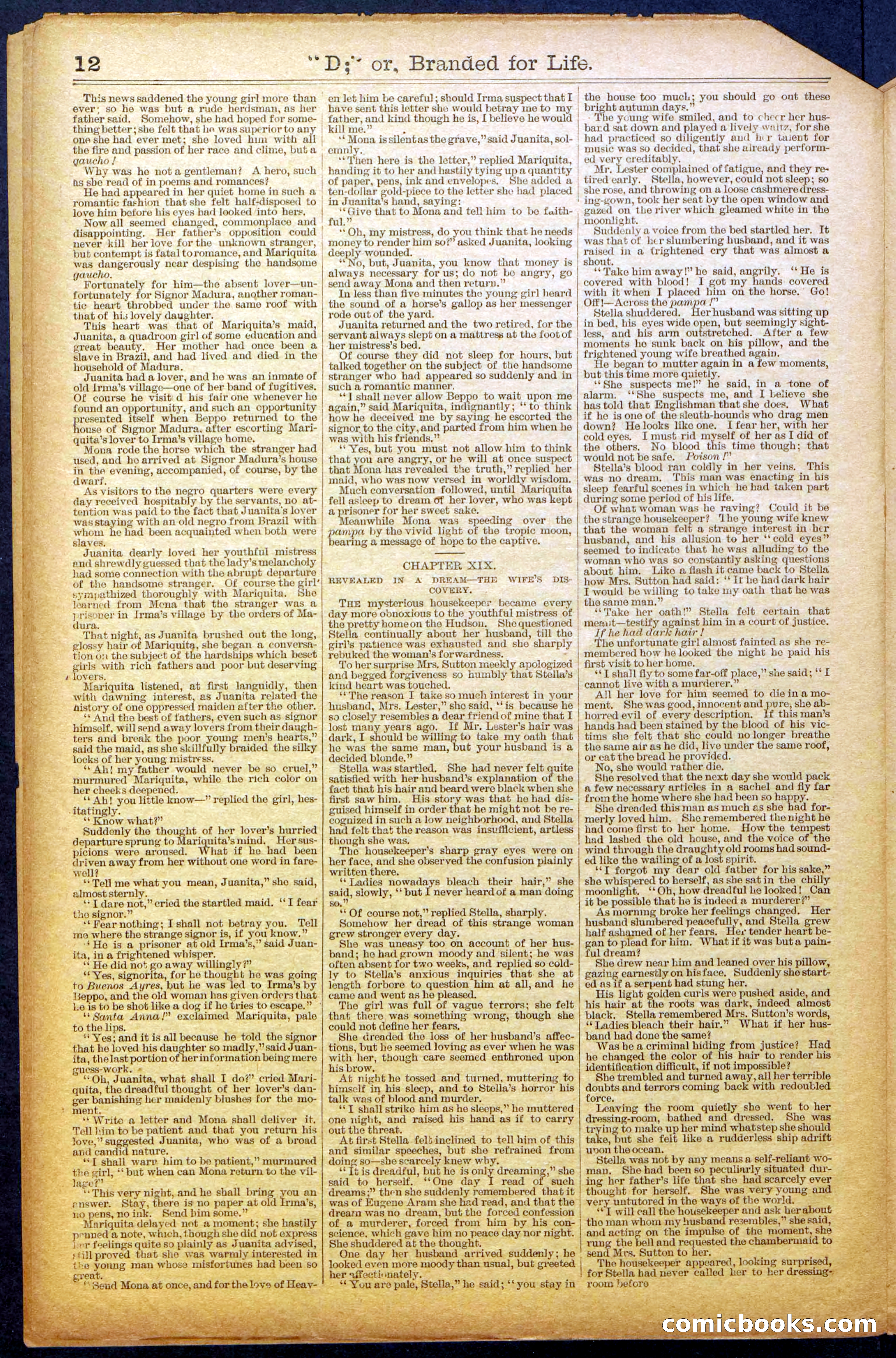 Beadle's New York Dime Library No. 971 — page 12 of 24