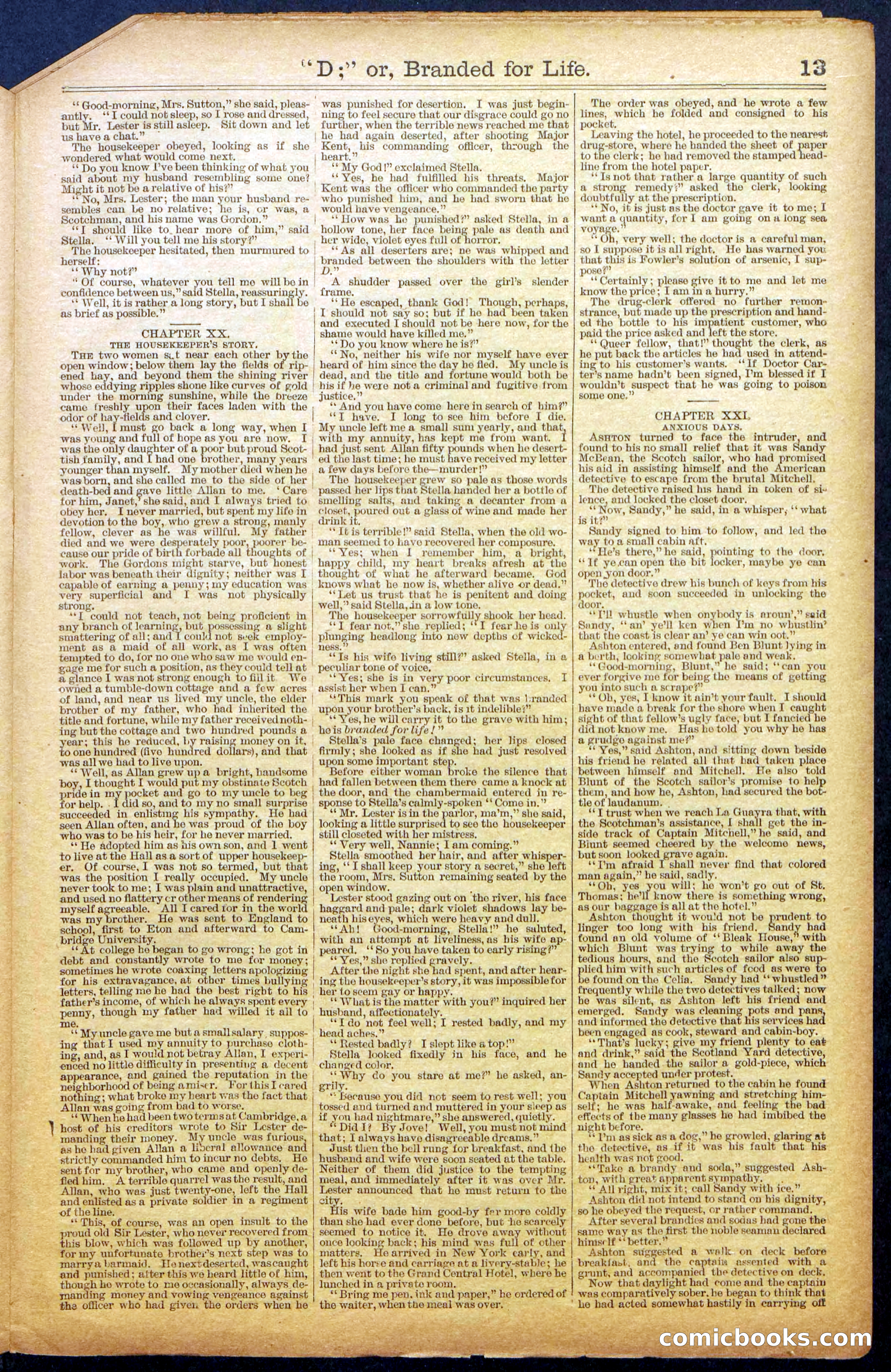 Beadle's New York Dime Library No. 971 — page 13 of 24
