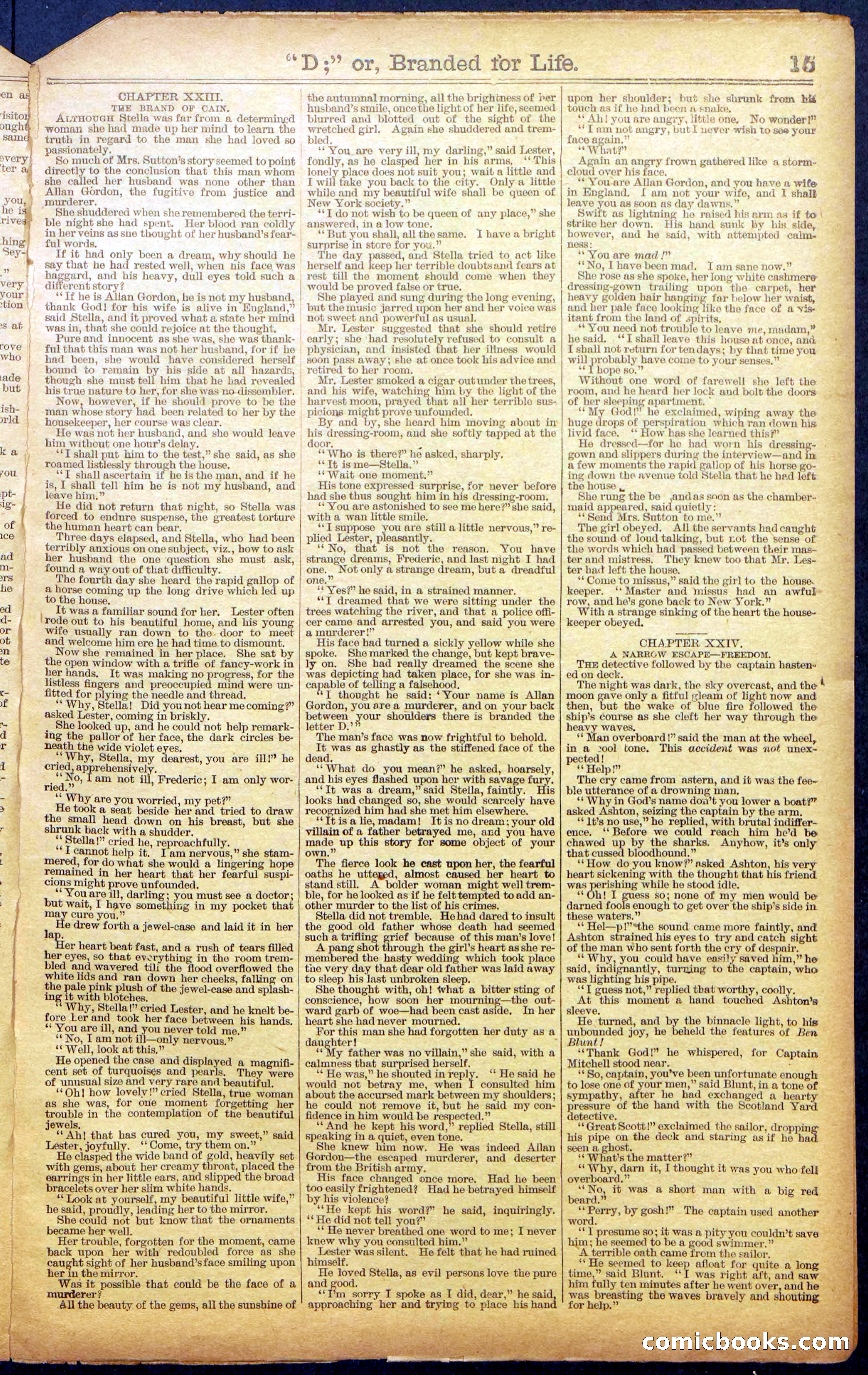 Beadle's New York Dime Library No. 971 — page 15 of 24