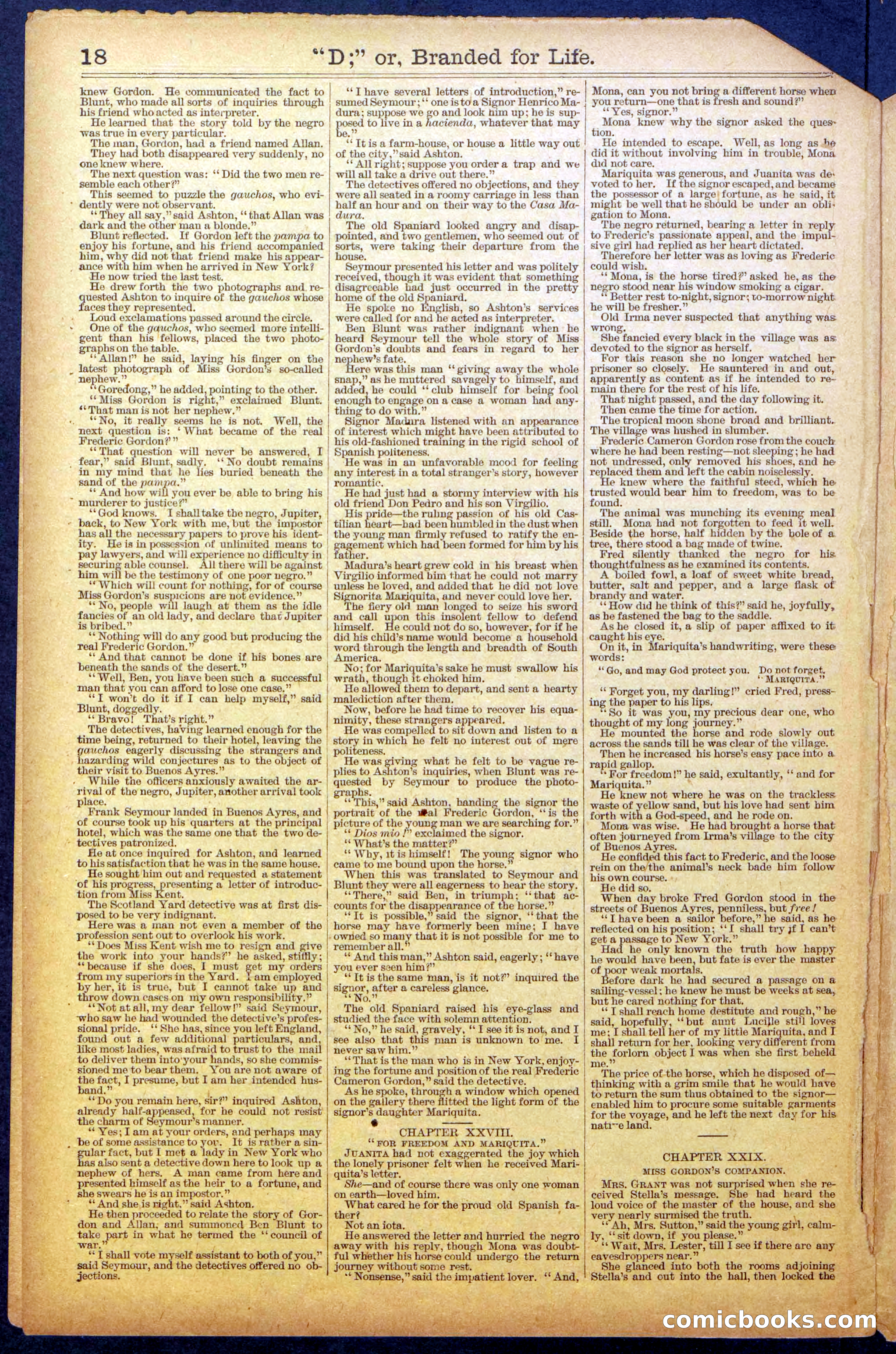 Beadle's New York Dime Library No. 971 — page 18 of 24