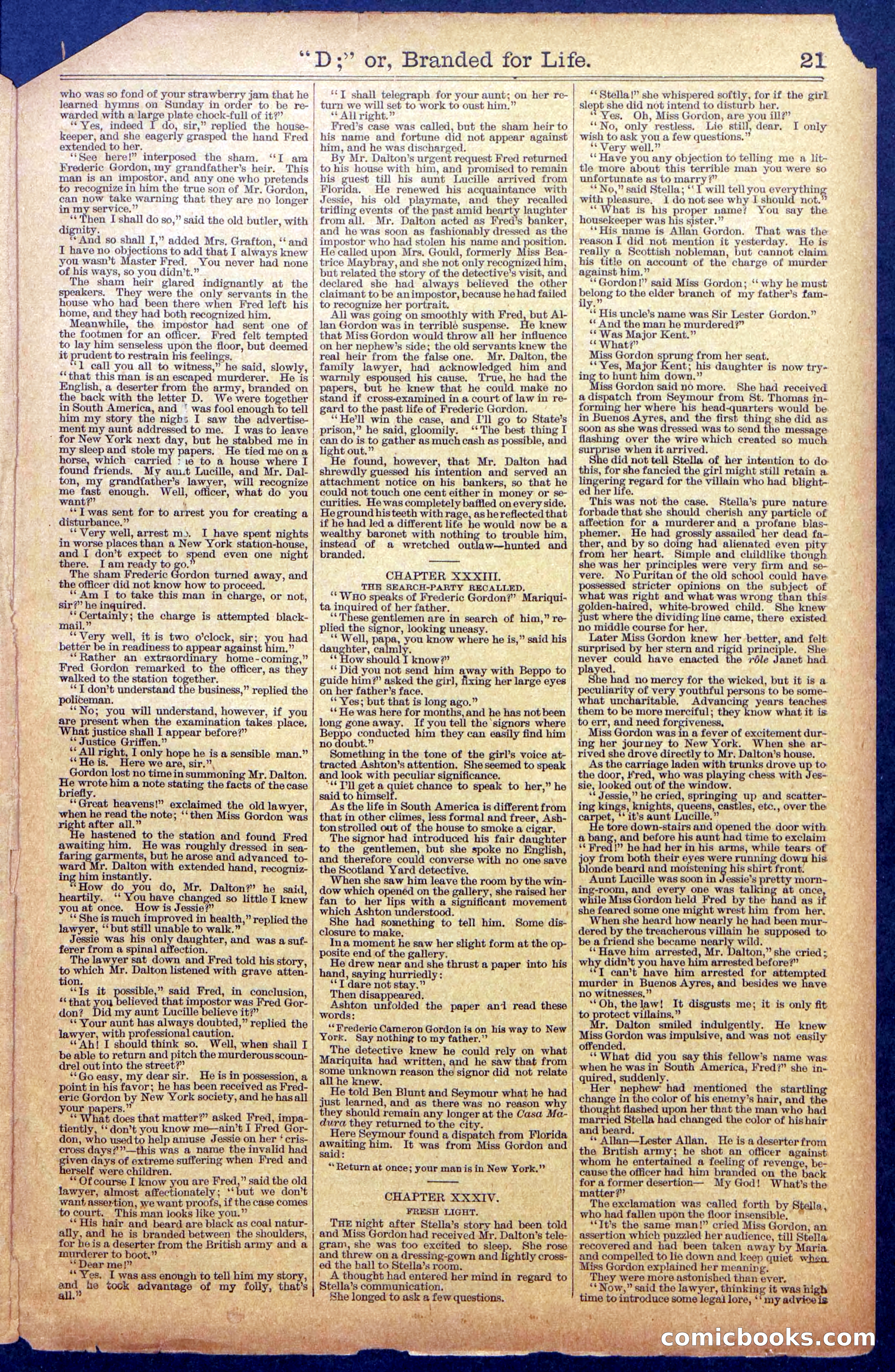 Beadle's New York Dime Library No. 971 — page 21 of 24