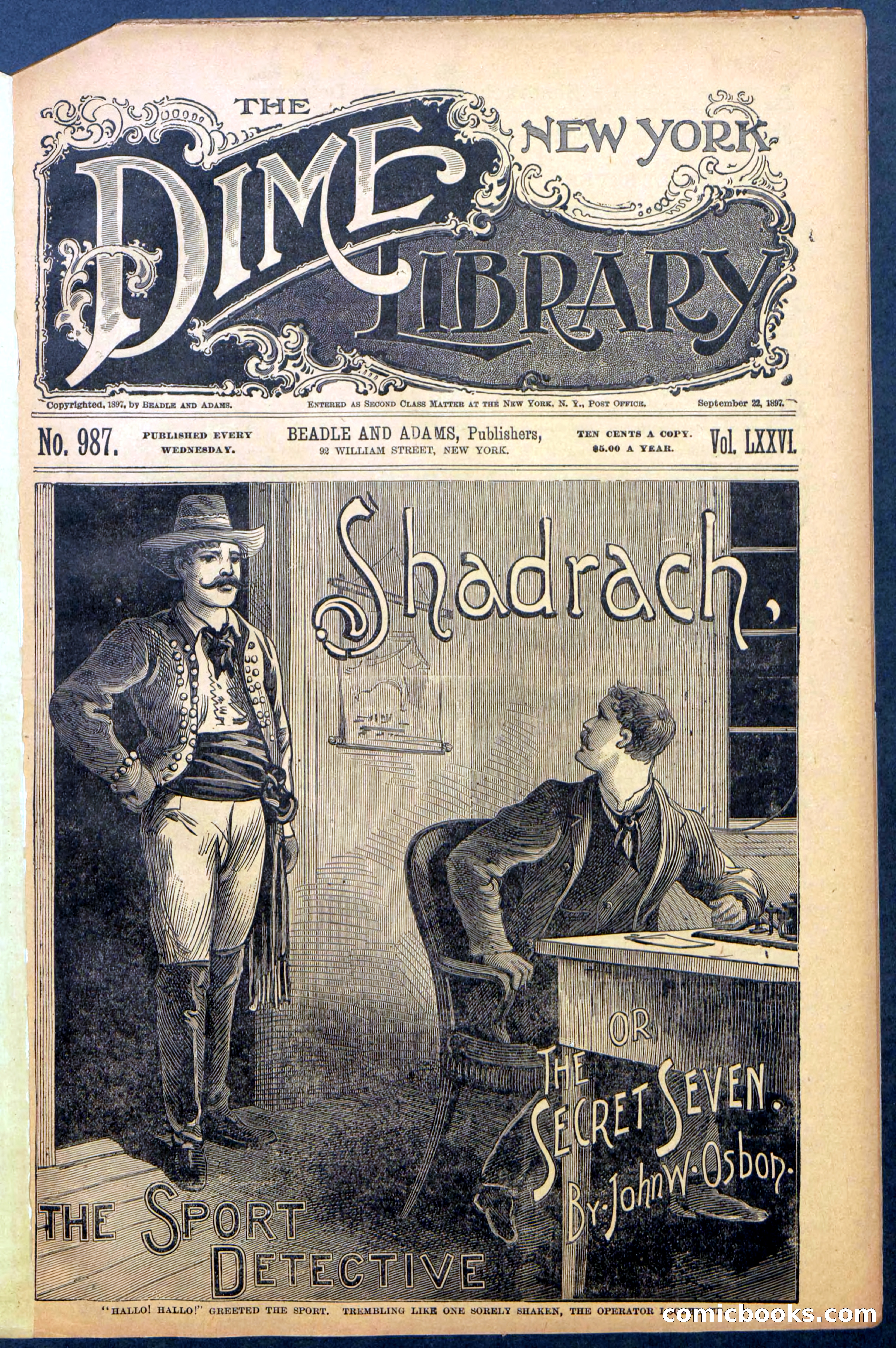 Beadle's New York Dime Library No. 987 — page 3 of 36