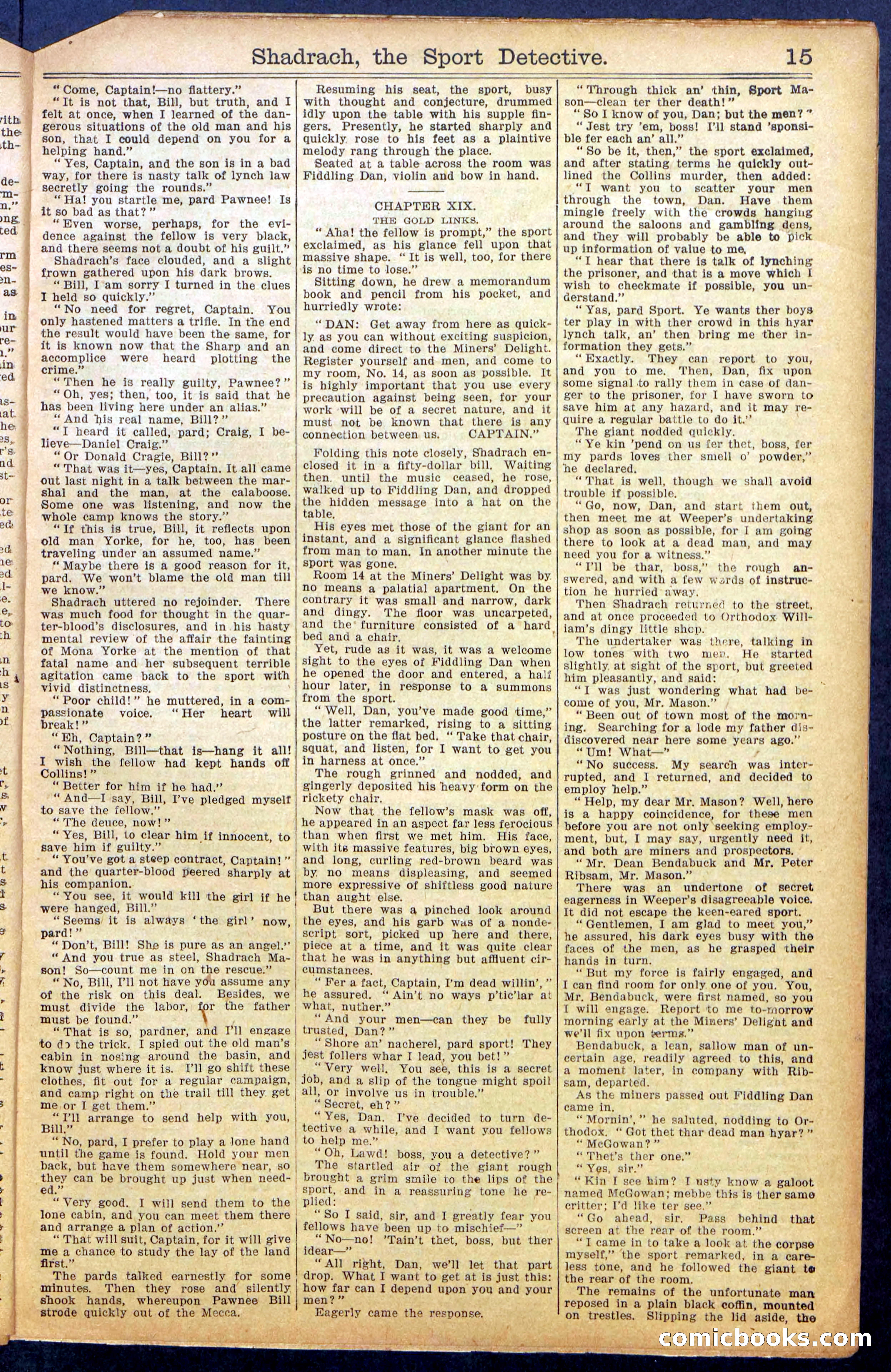 Beadle's New York Dime Library No. 987 — page 17 of 36