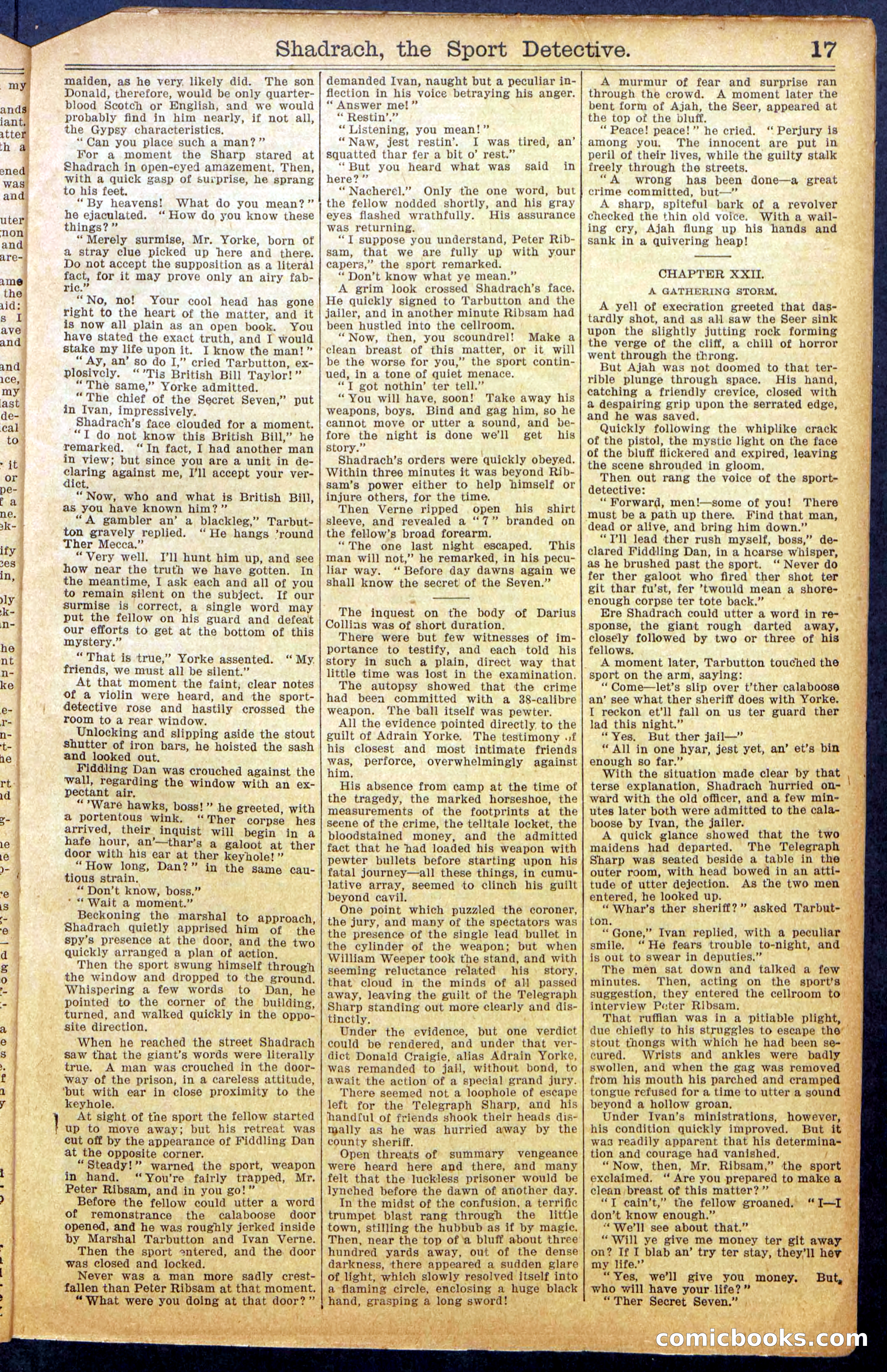 Beadle's New York Dime Library No. 987 — page 19 of 36