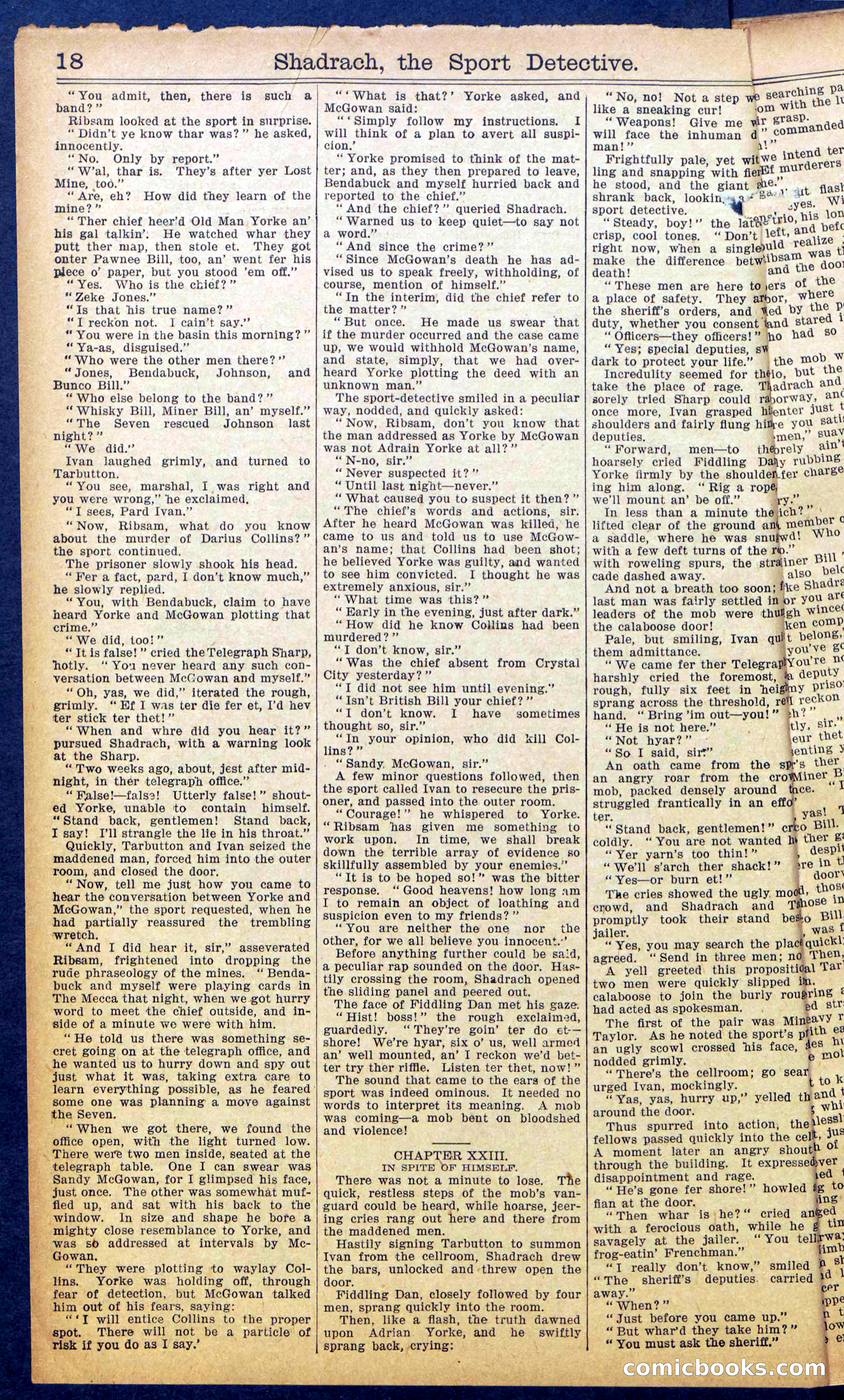 Beadle's New York Dime Library No. 987 — page 20 of 36