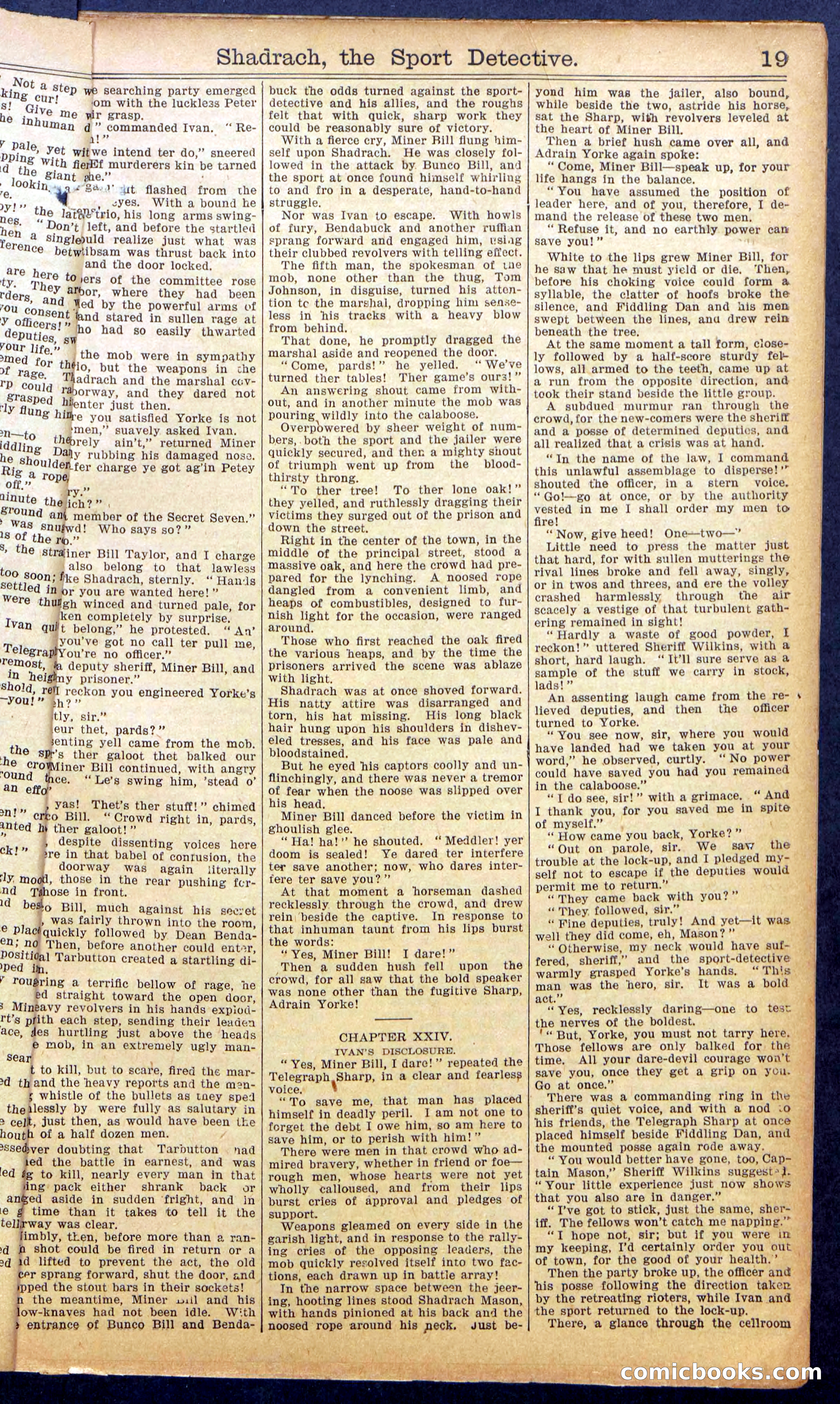 Beadle's New York Dime Library No. 987 — page 21 of 36
