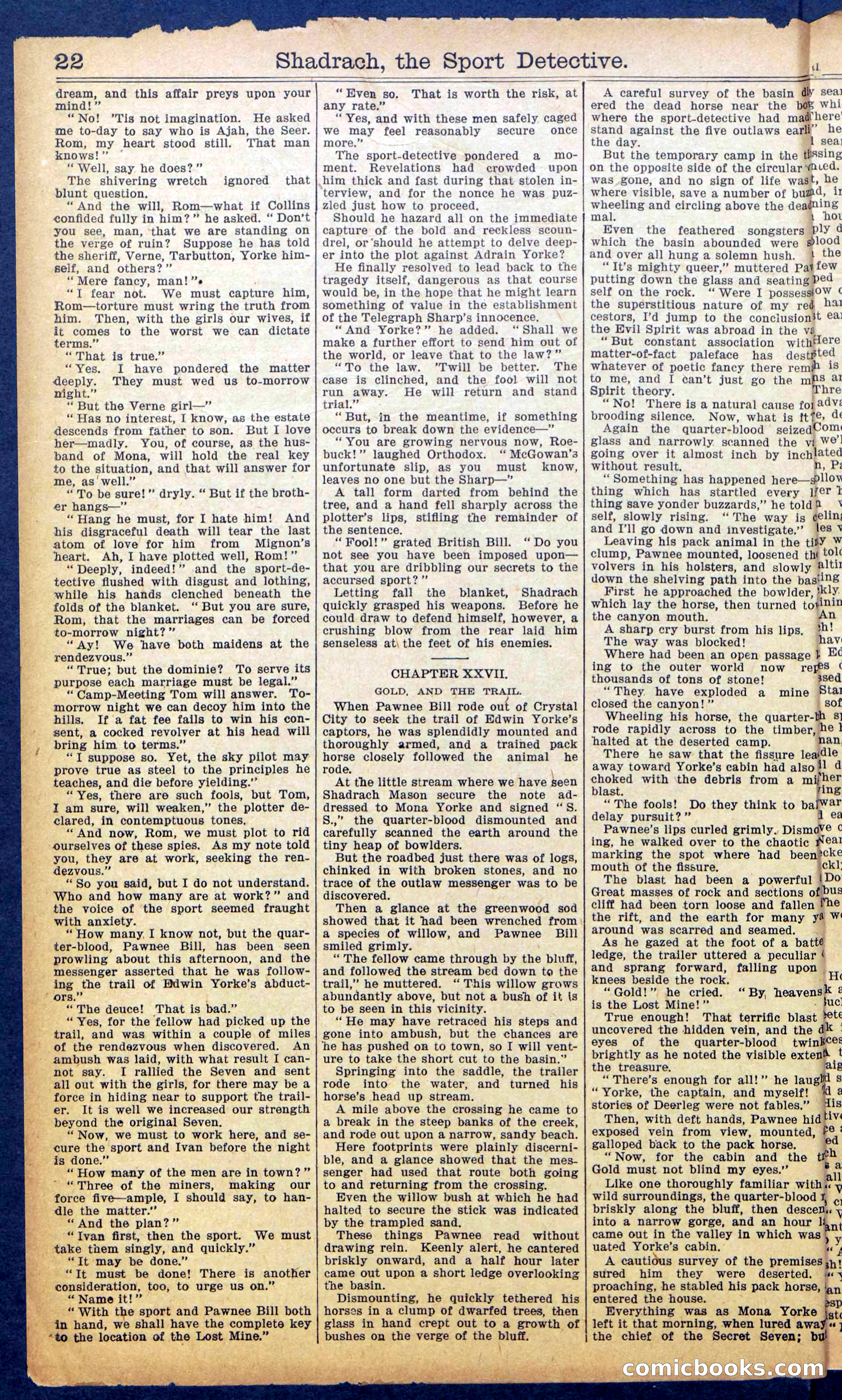 Beadle's New York Dime Library No. 987 — page 24 of 36