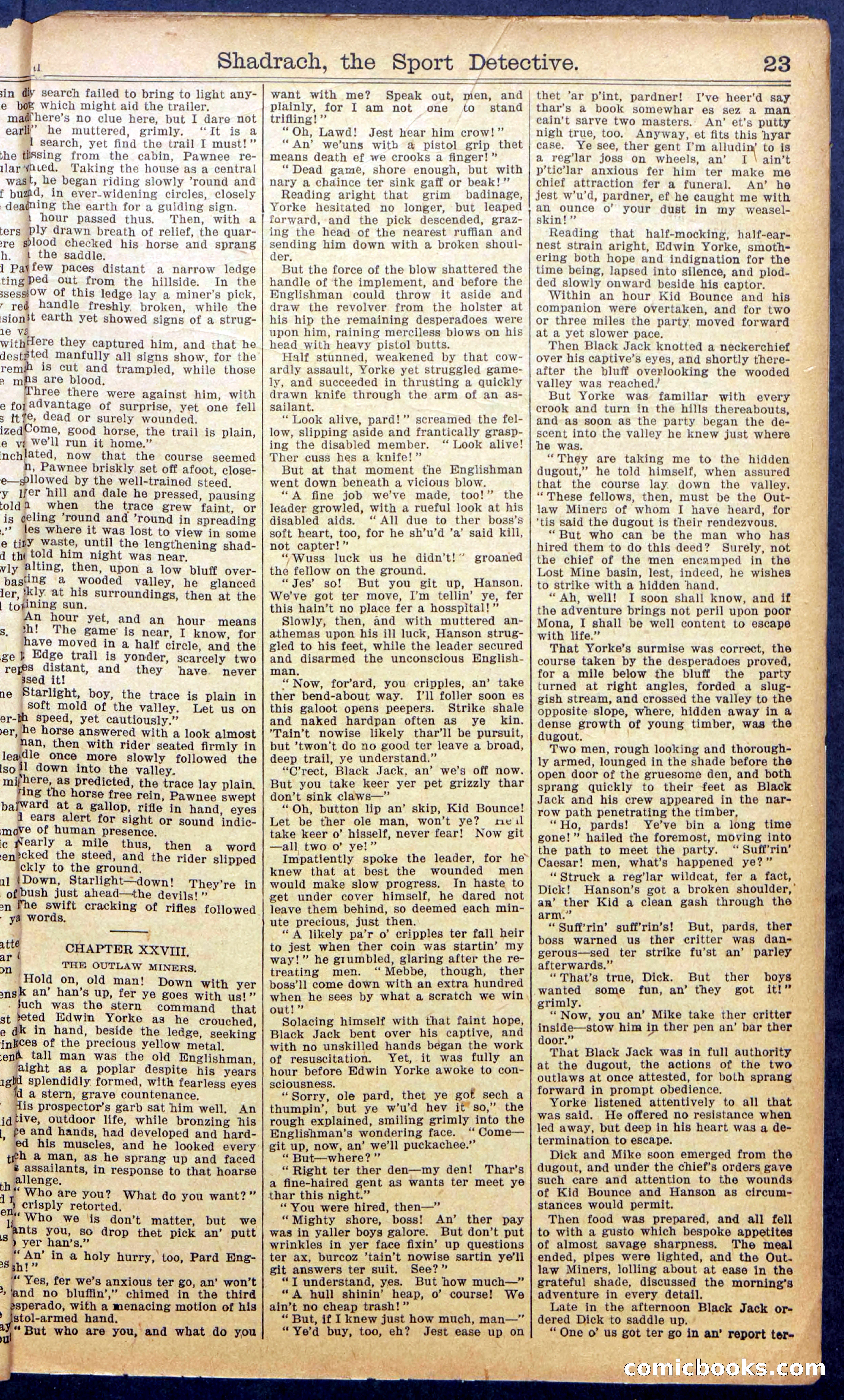 Beadle's New York Dime Library No. 987 — page 25 of 36