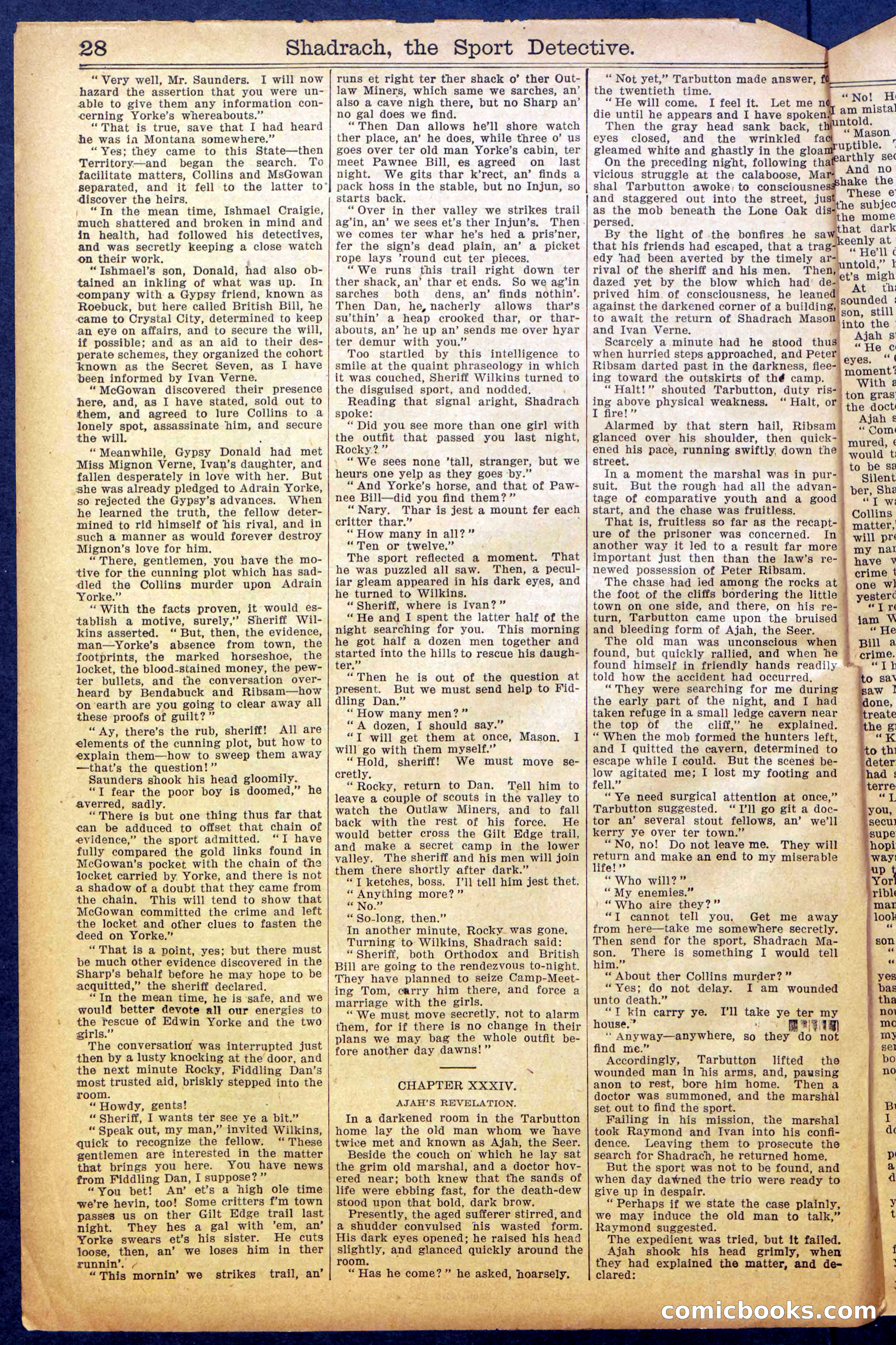 Beadle's New York Dime Library No. 987 — page 30 of 36