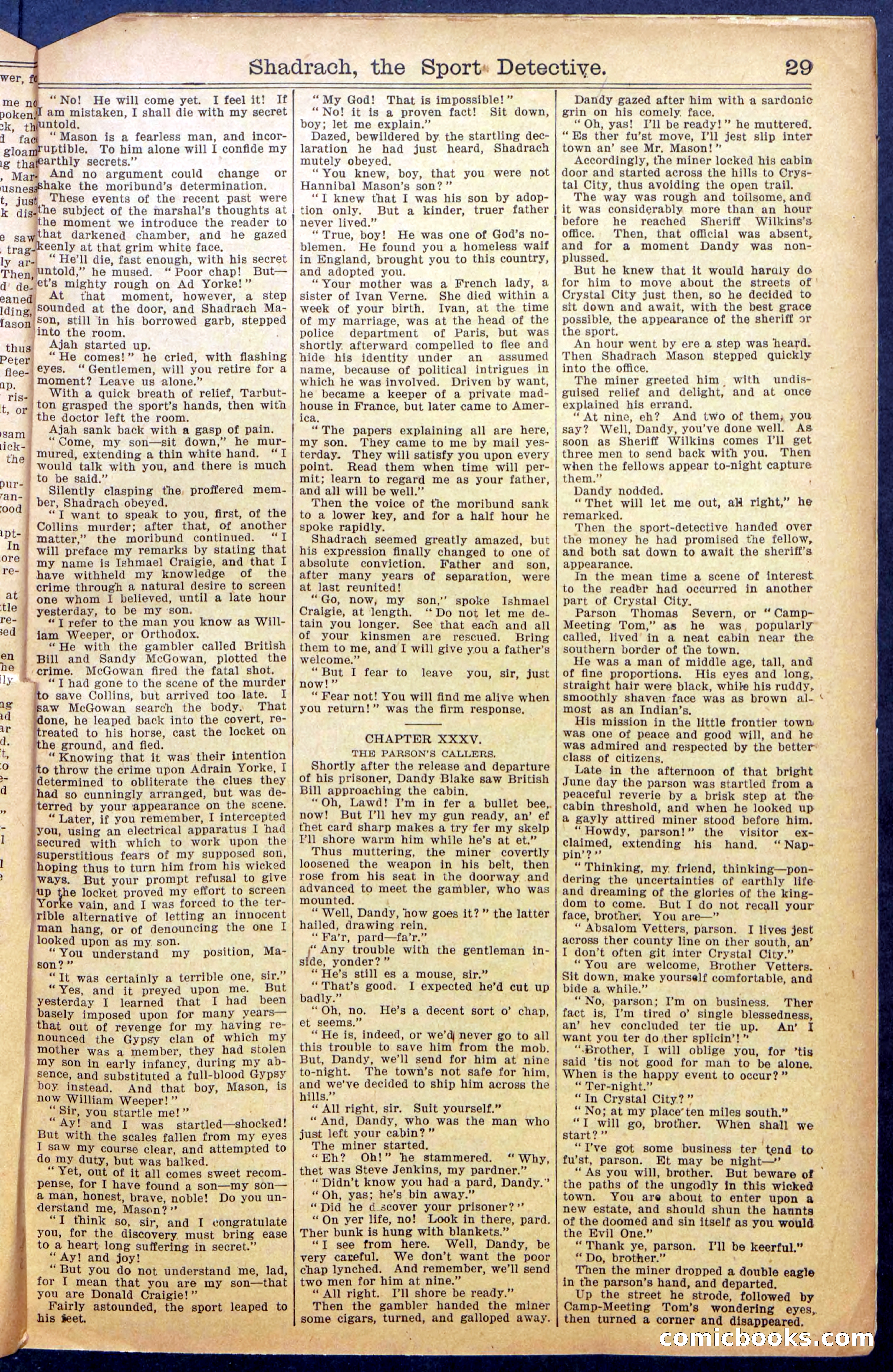 Beadle's New York Dime Library No. 987 — page 31 of 36