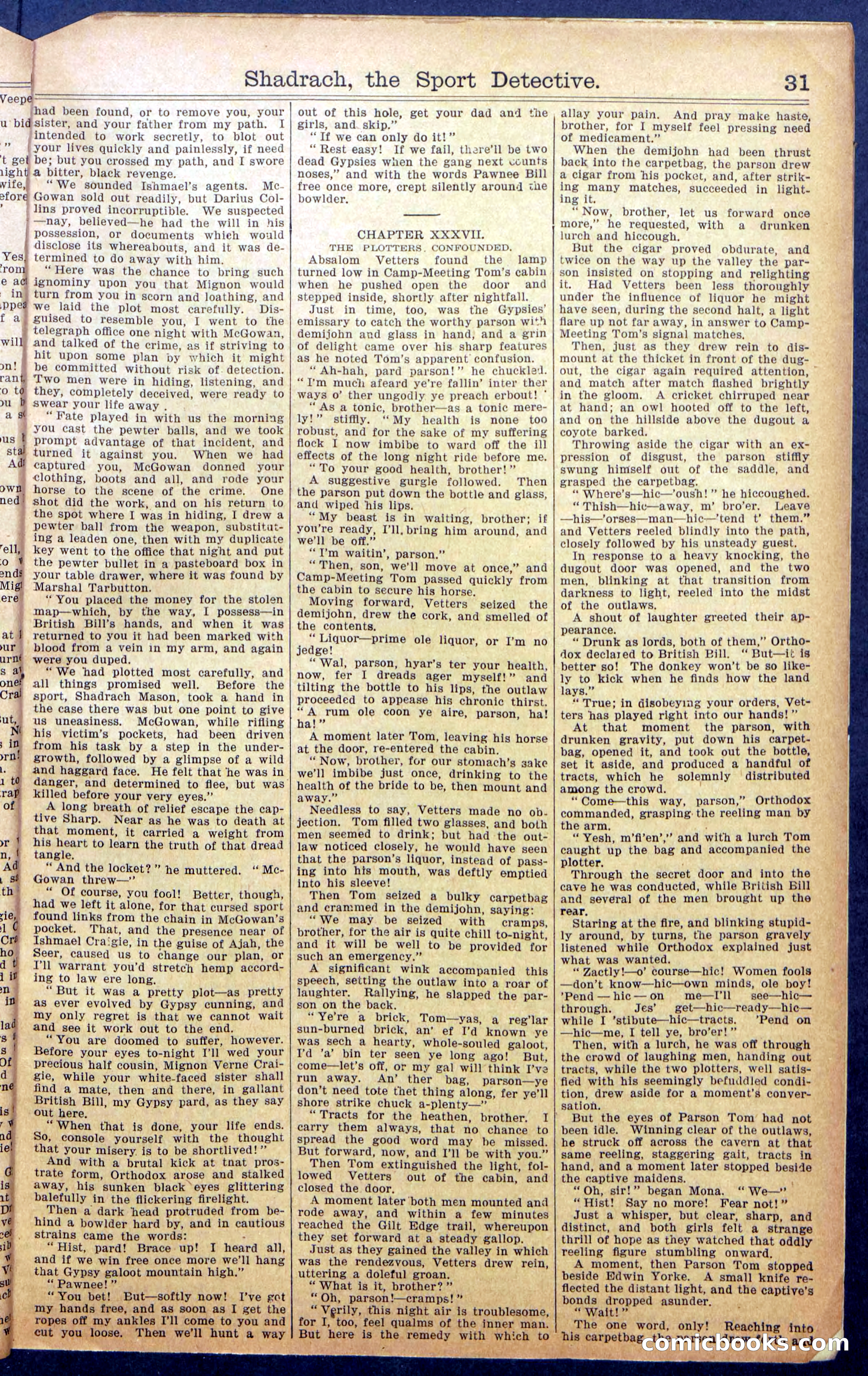 Beadle's New York Dime Library No. 987 — page 33 of 36