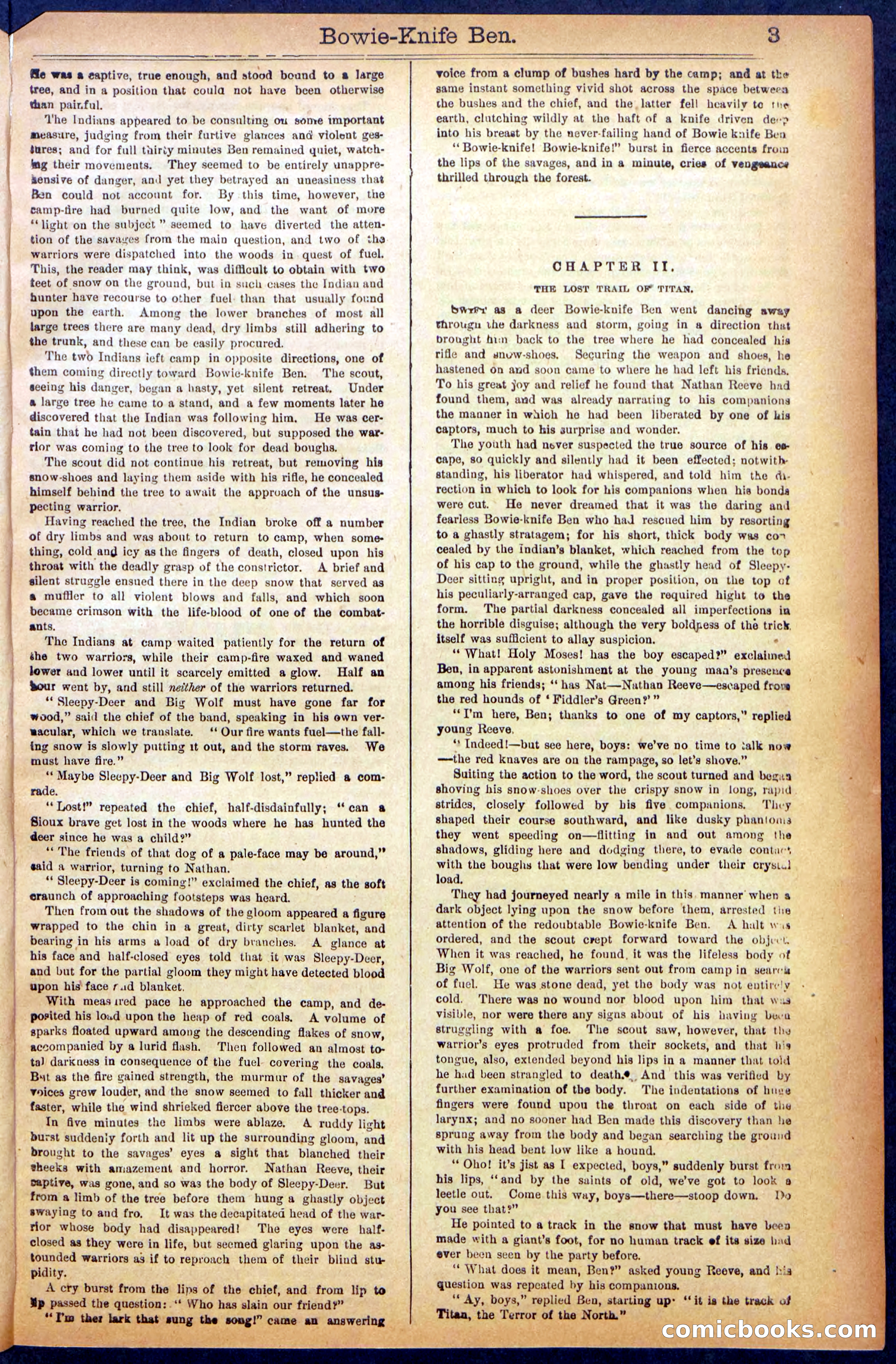 Beadle's New York Dime Library No. 990 — page 5 of 44