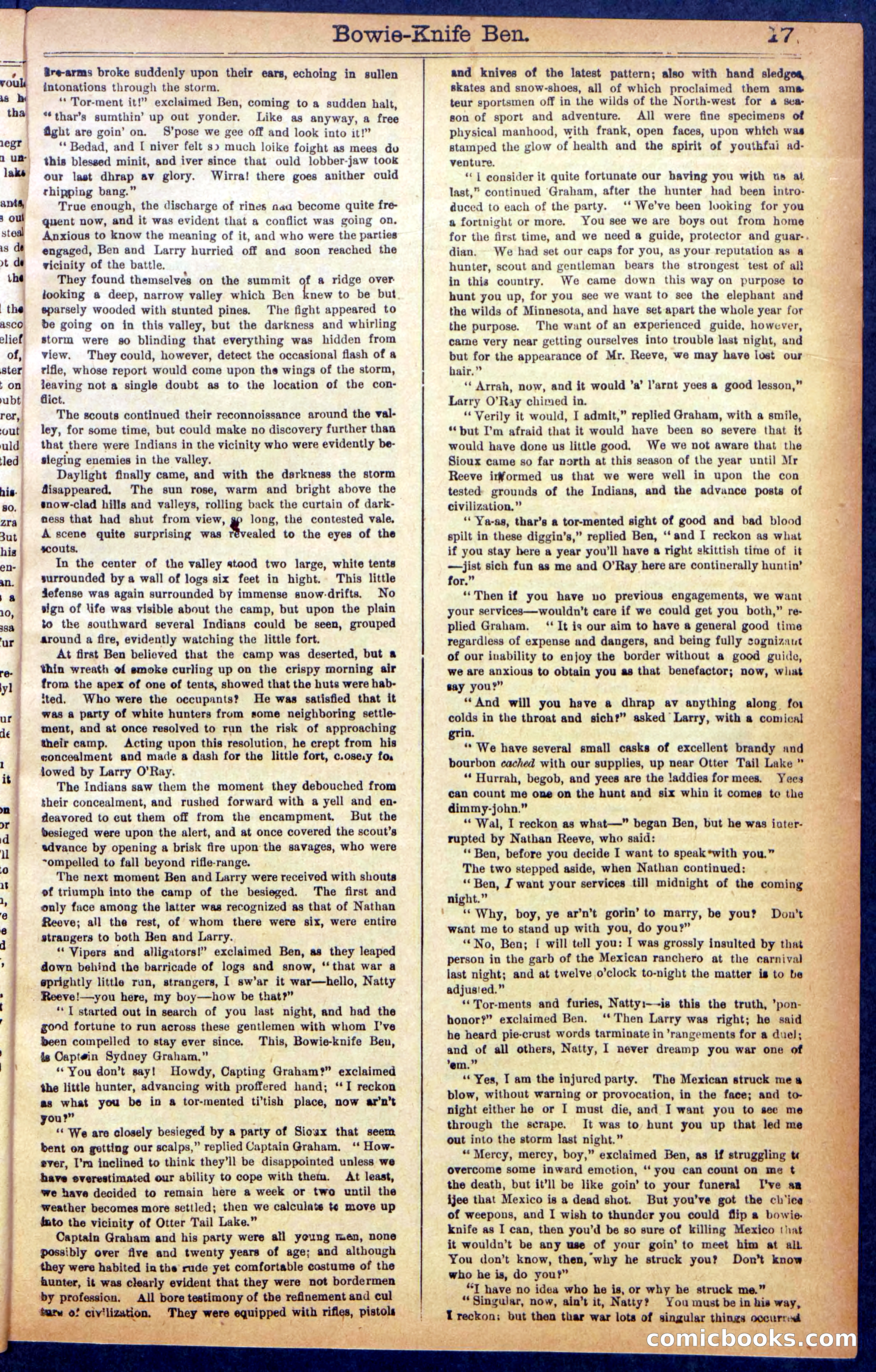 Beadle's New York Dime Library No. 990 — page 19 of 44