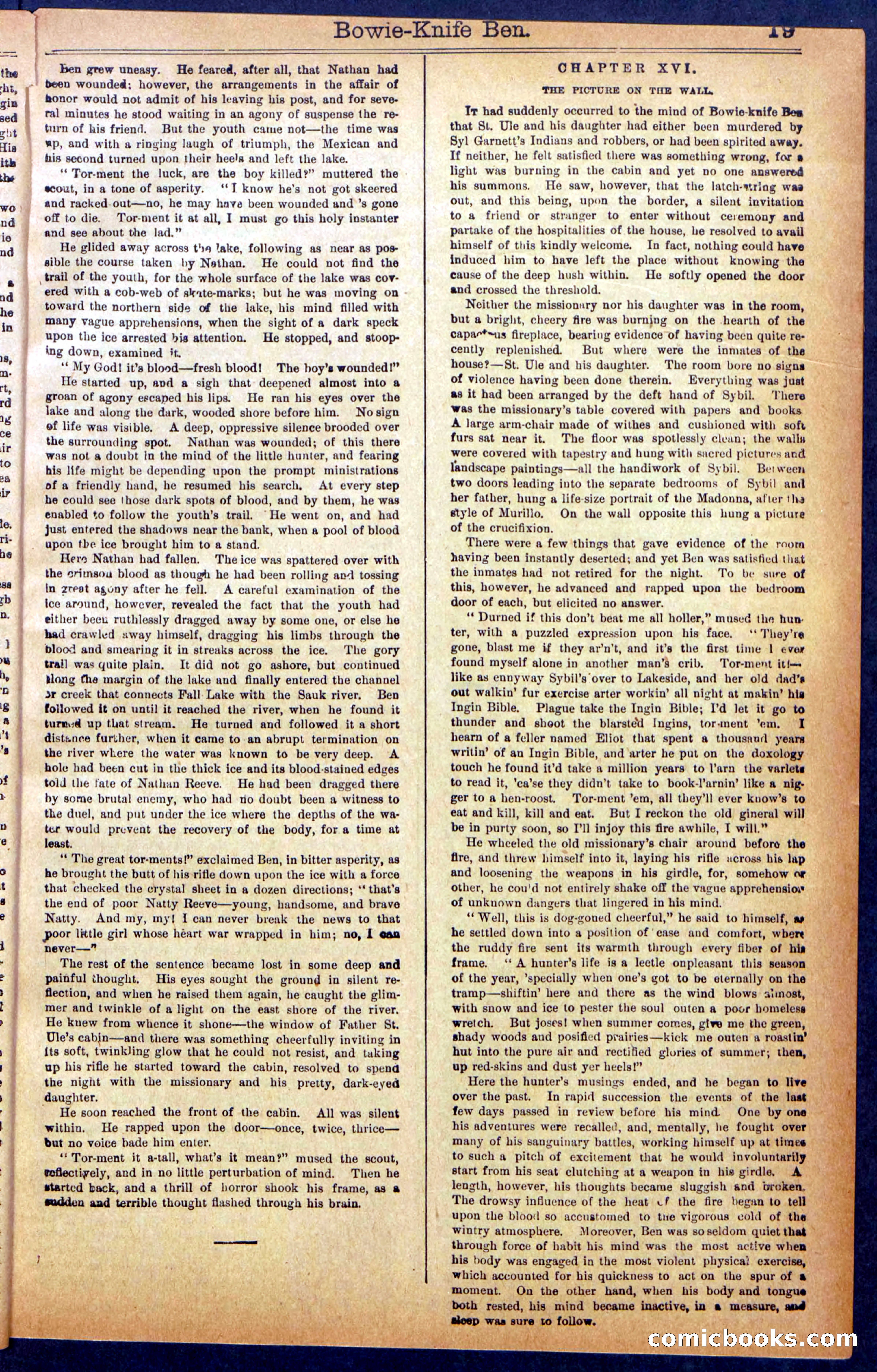 Beadle's New York Dime Library No. 990 — page 21 of 44