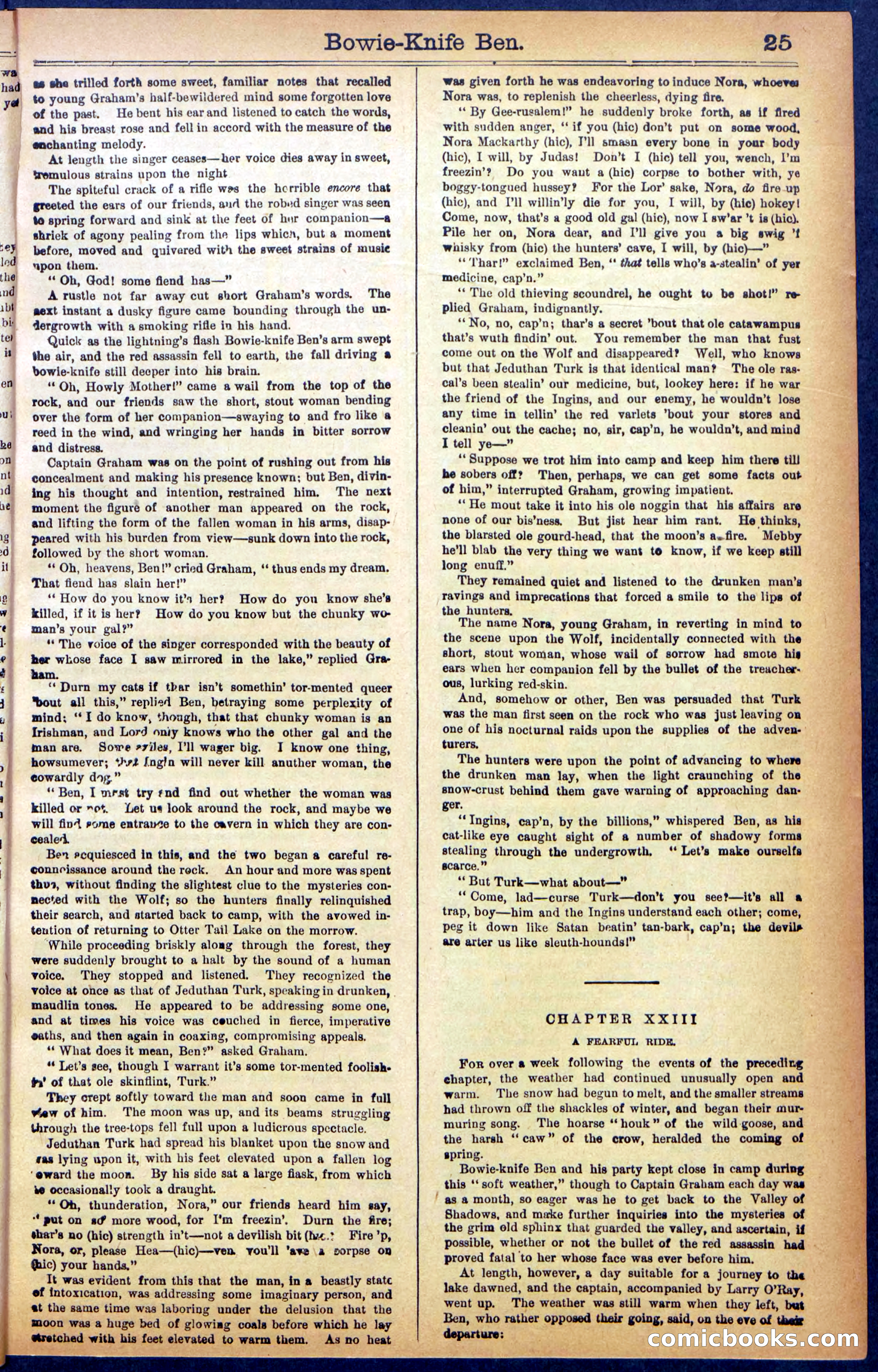 Beadle's New York Dime Library No. 990 — page 27 of 44