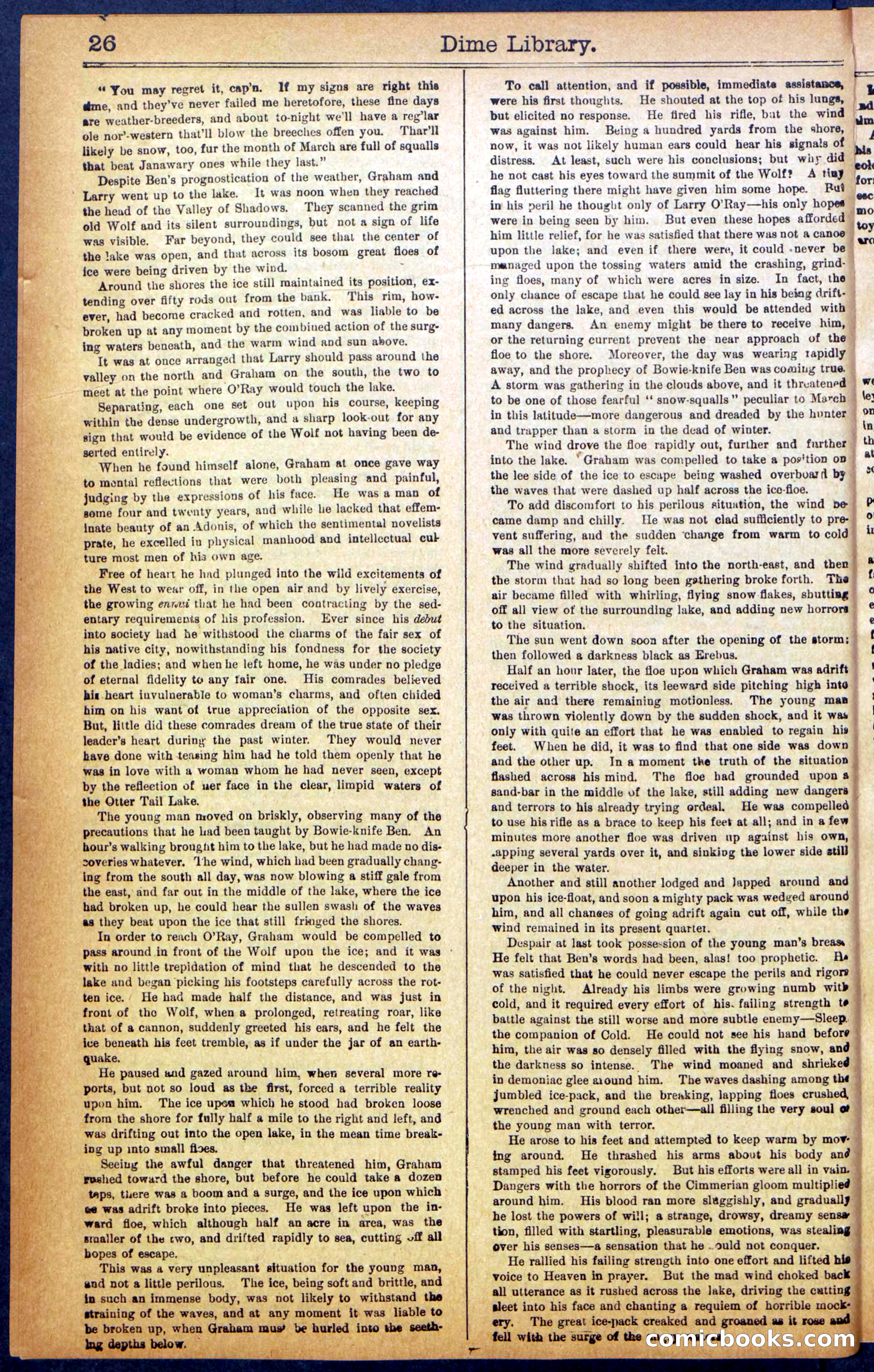Beadle's New York Dime Library No. 990 — page 28 of 44