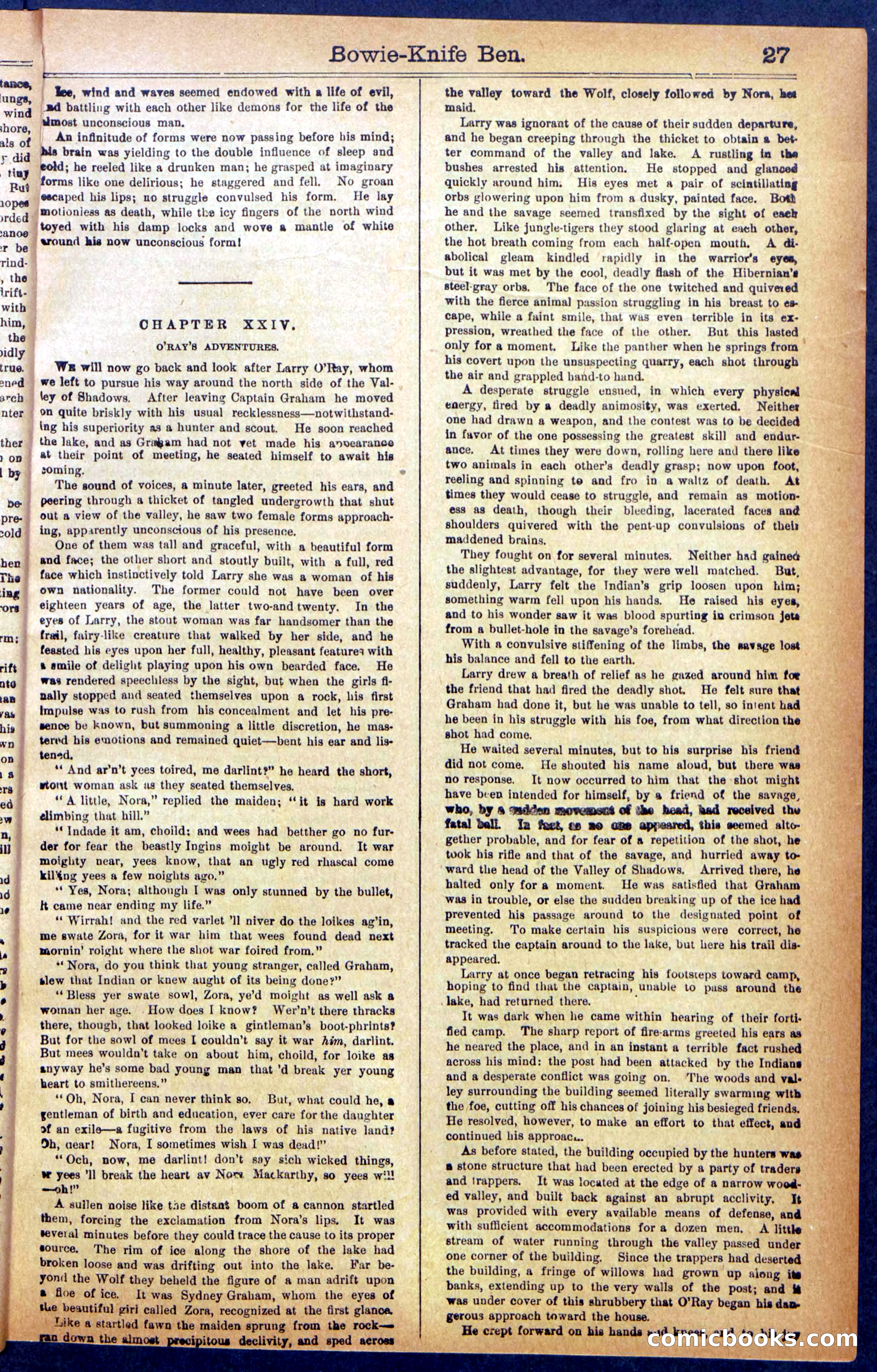 Beadle's New York Dime Library No. 990 — page 29 of 44