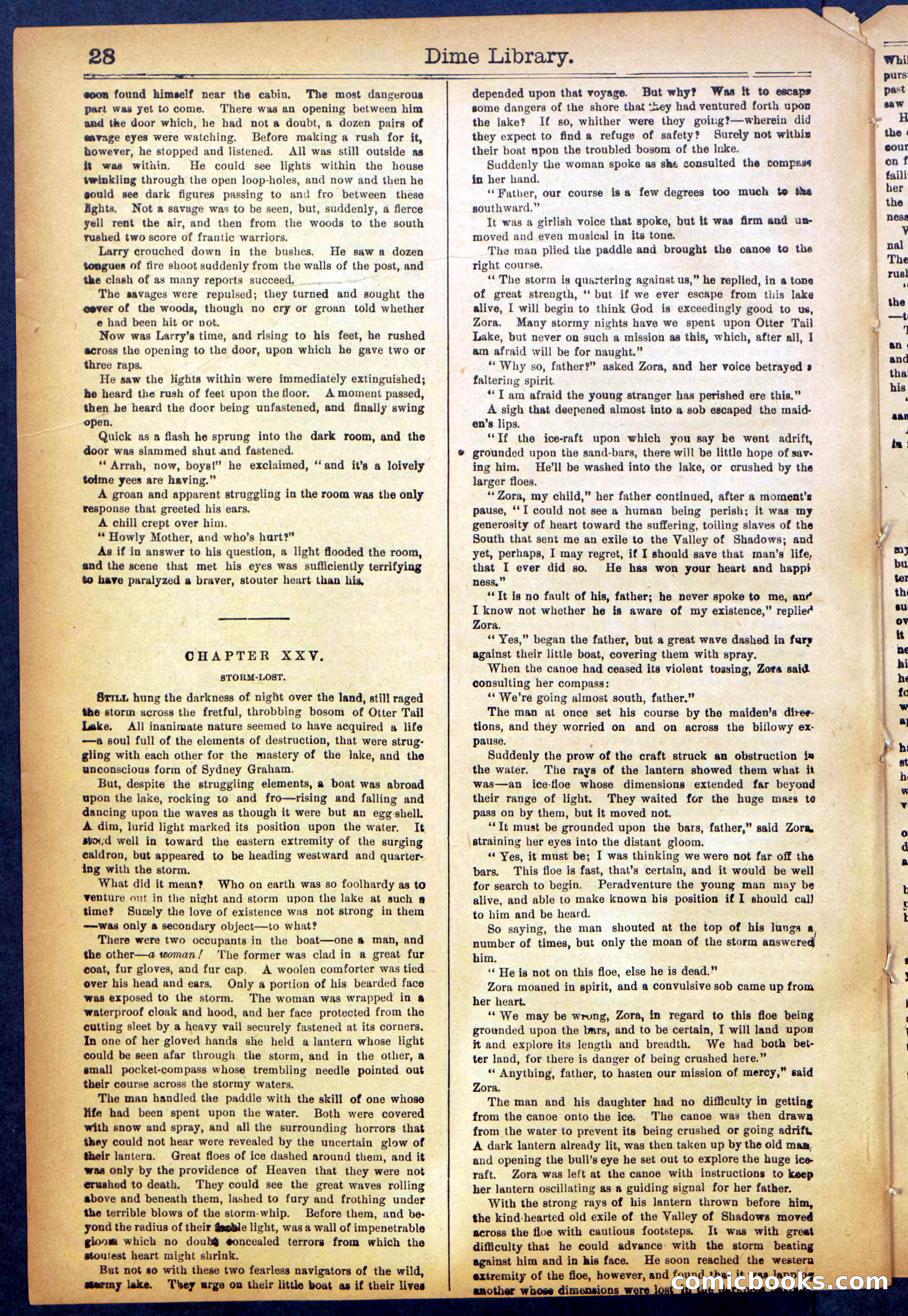 Beadle's New York Dime Library No. 990 — page 30 of 44
