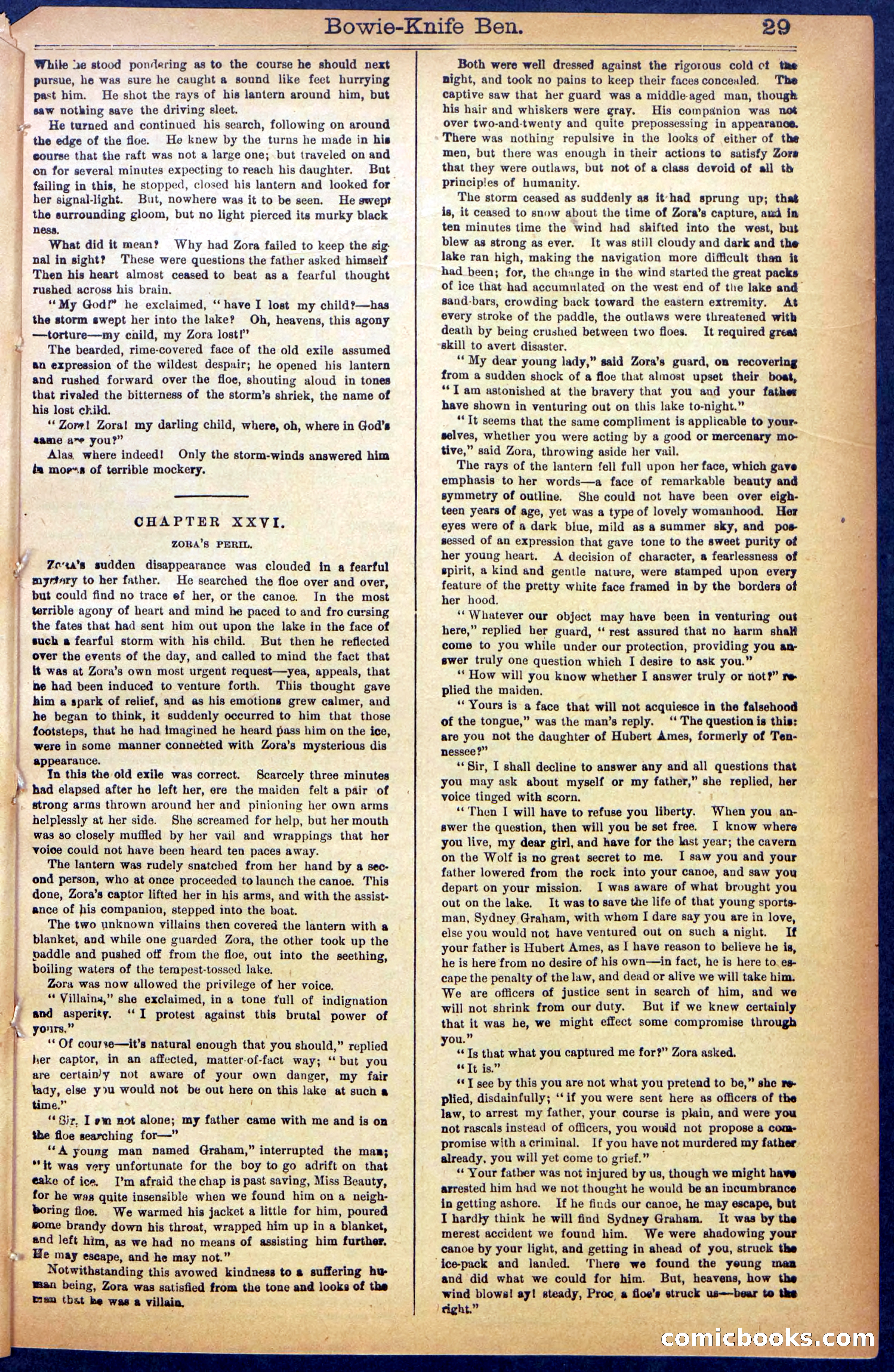 Beadle's New York Dime Library No. 990 — page 31 of 44