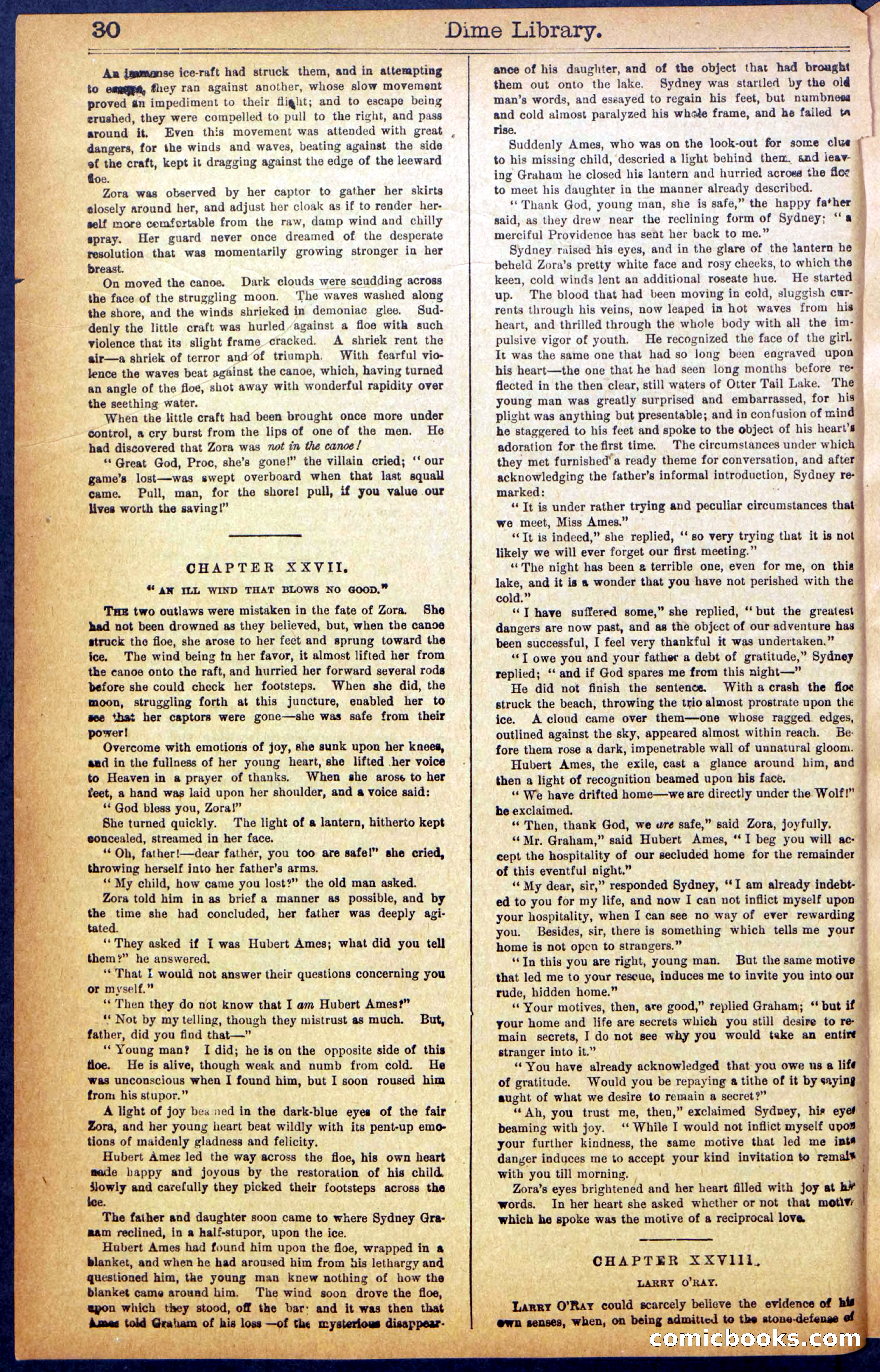 Beadle's New York Dime Library No. 990 — page 32 of 44