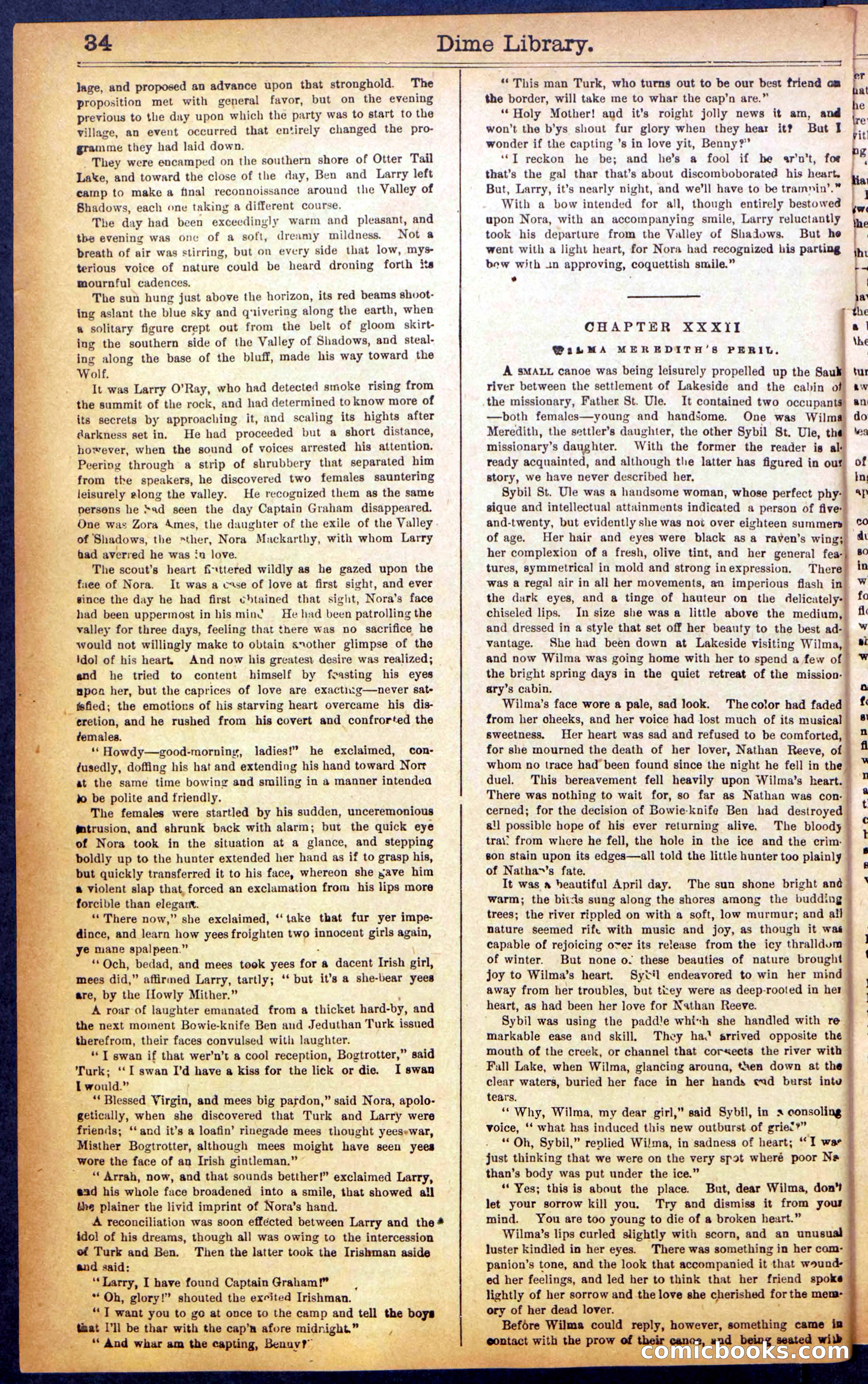 Beadle's New York Dime Library No. 990 — page 36 of 44