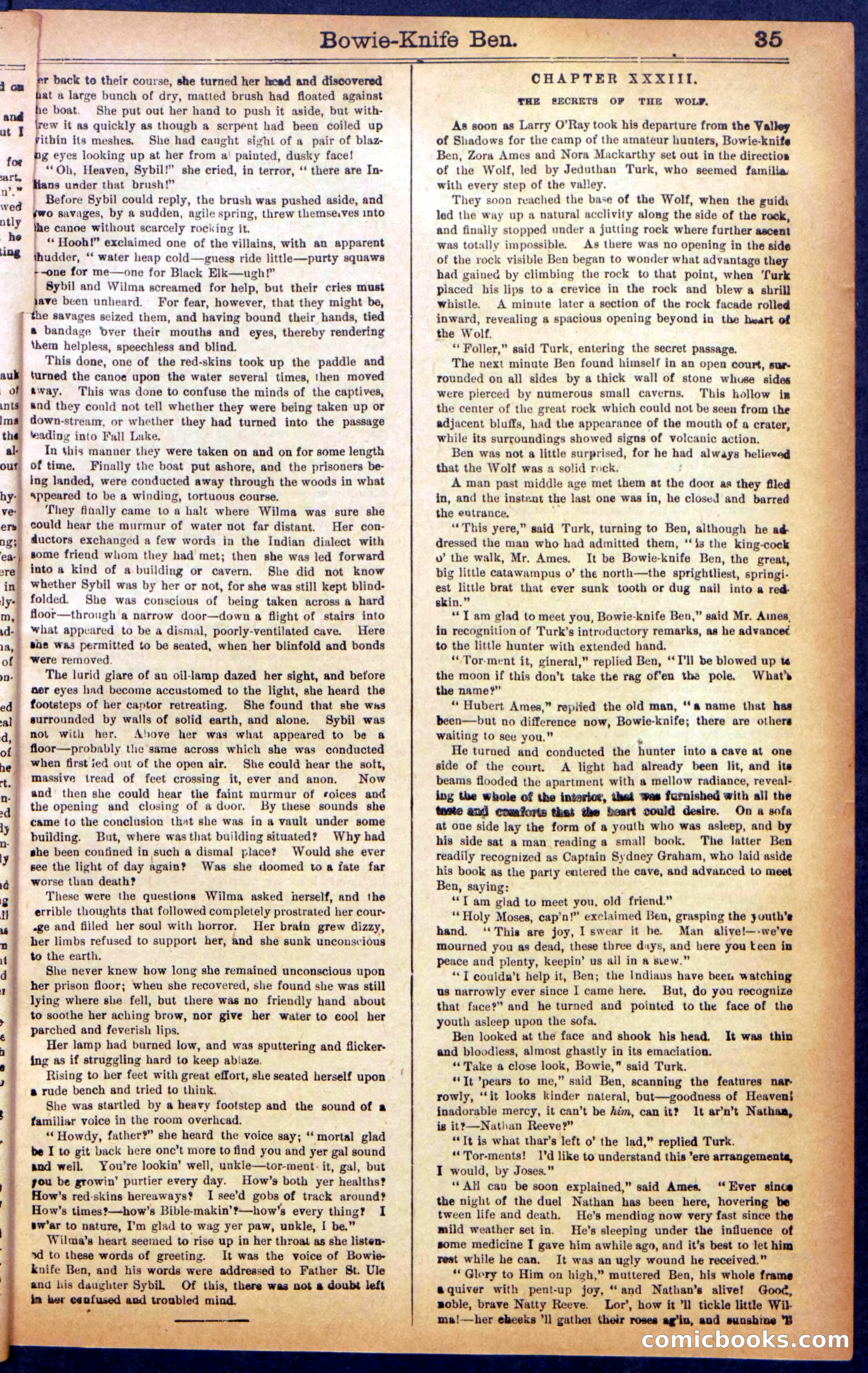 Beadle's New York Dime Library No. 990 — page 37 of 44