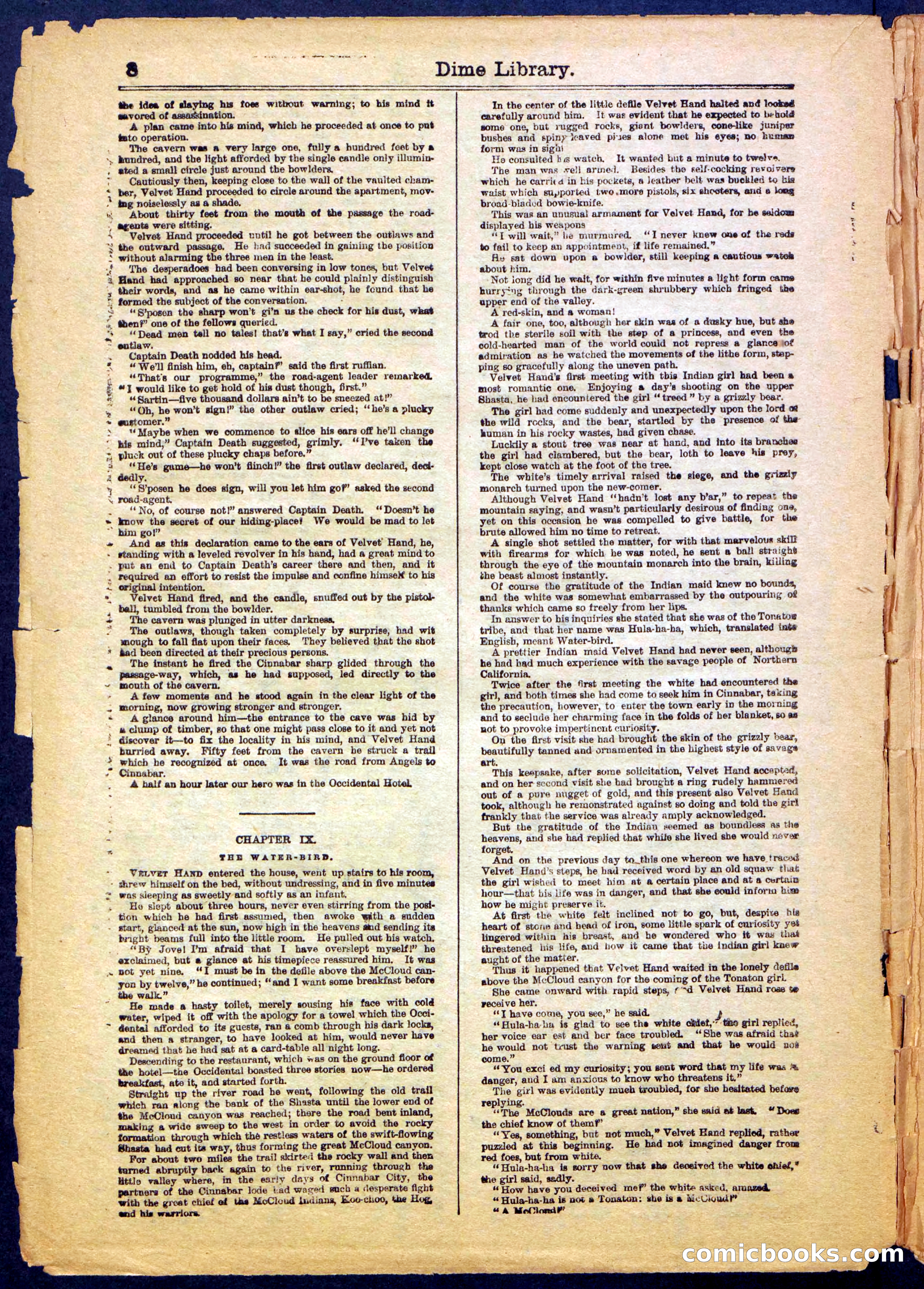 Beadle's New York Dime Library, No. 999 — page 8 of 32