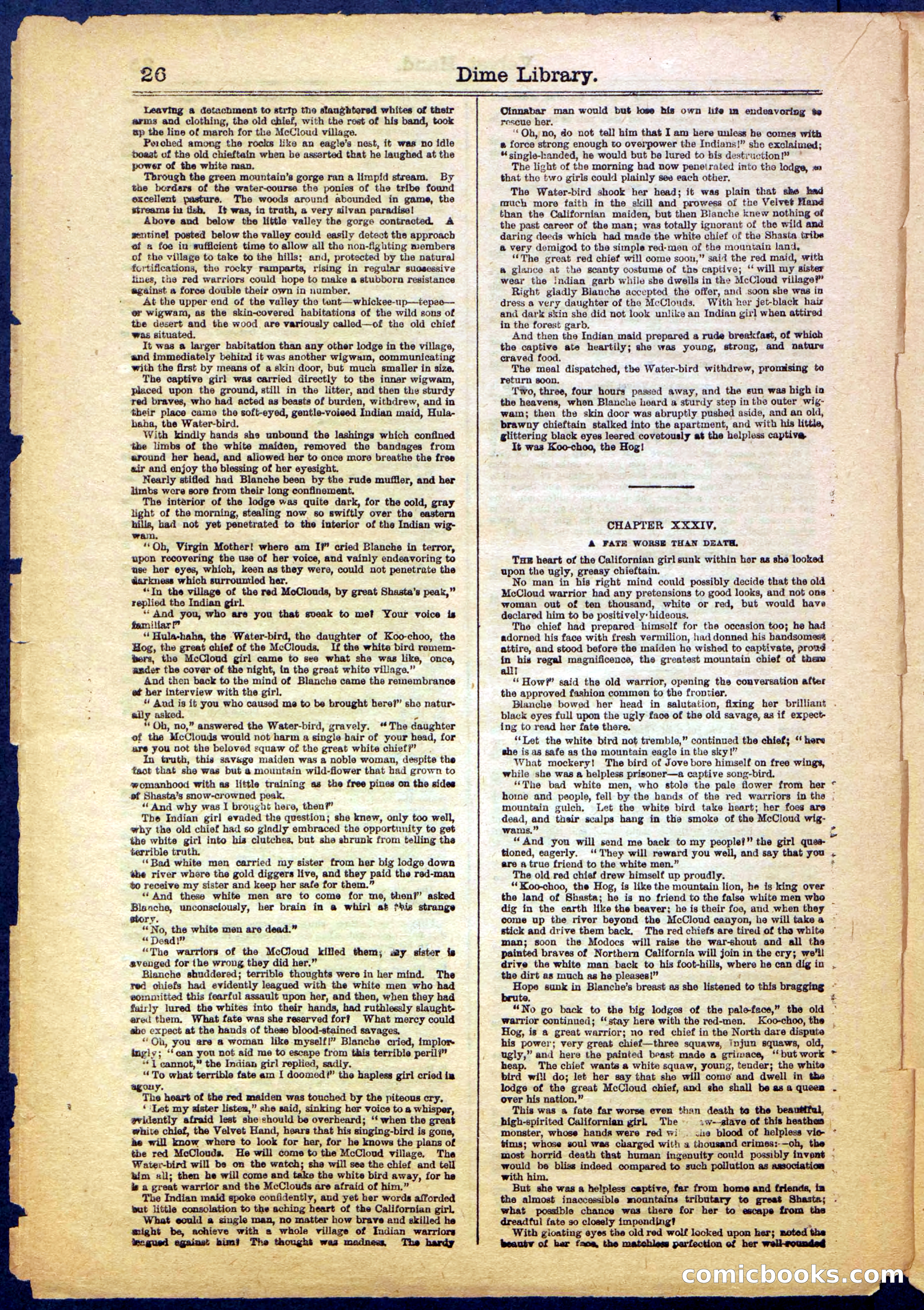 Beadle's New York Dime Library, No. 999 — page 26 of 32