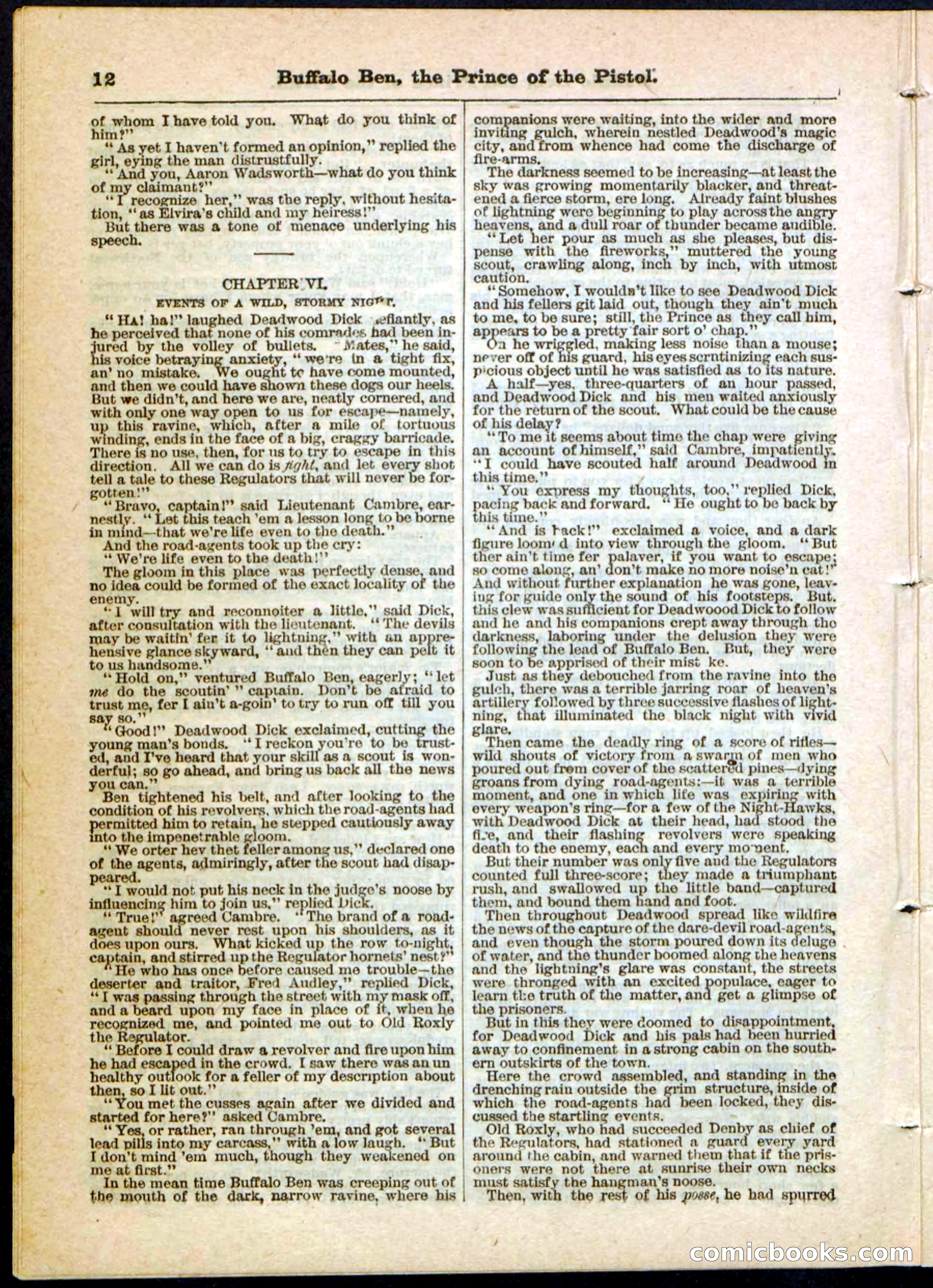 Beadle's Pocket Library, No. 10 — page 12 of 32