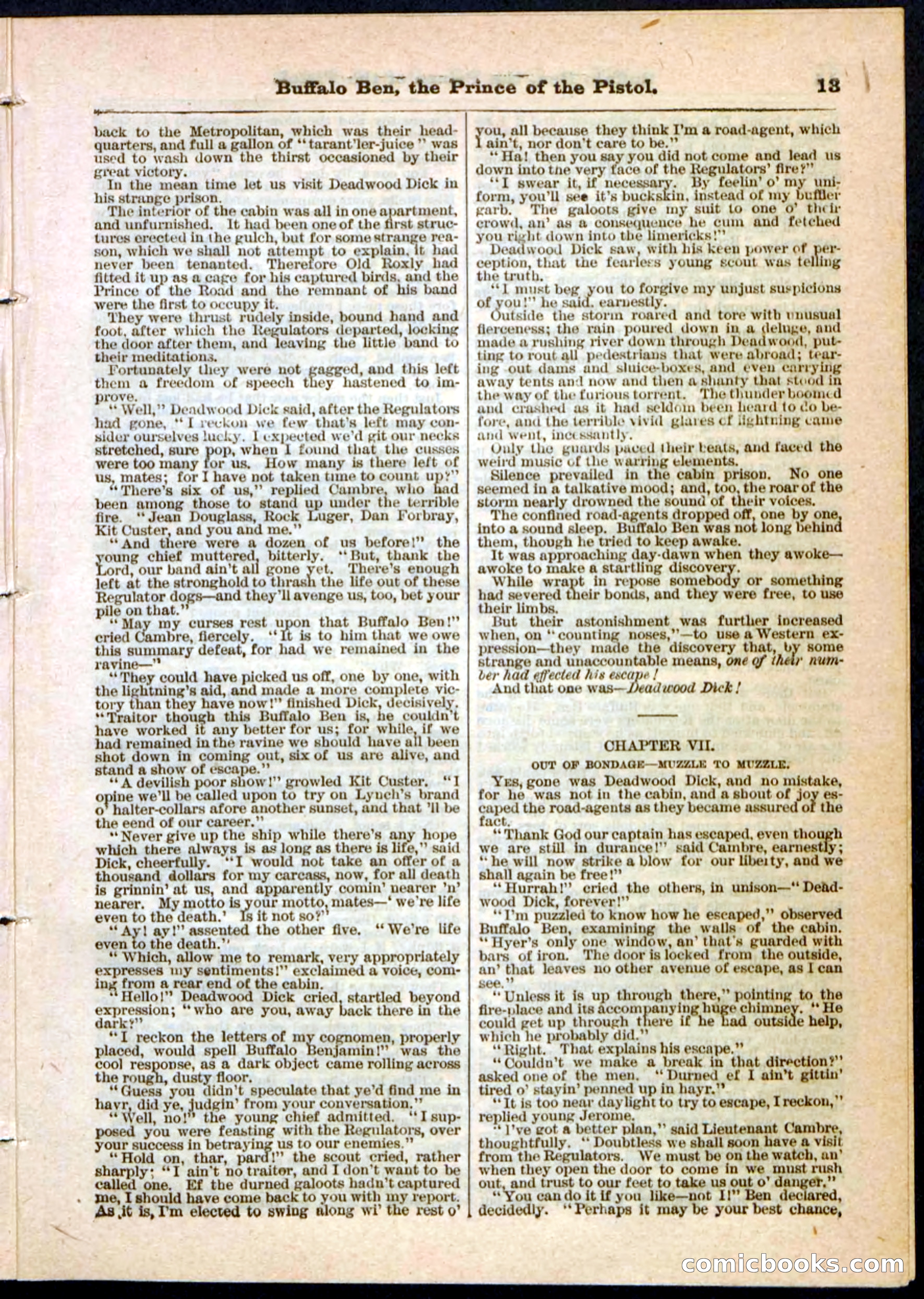 Beadle's Pocket Library, No. 10 — page 13 of 32