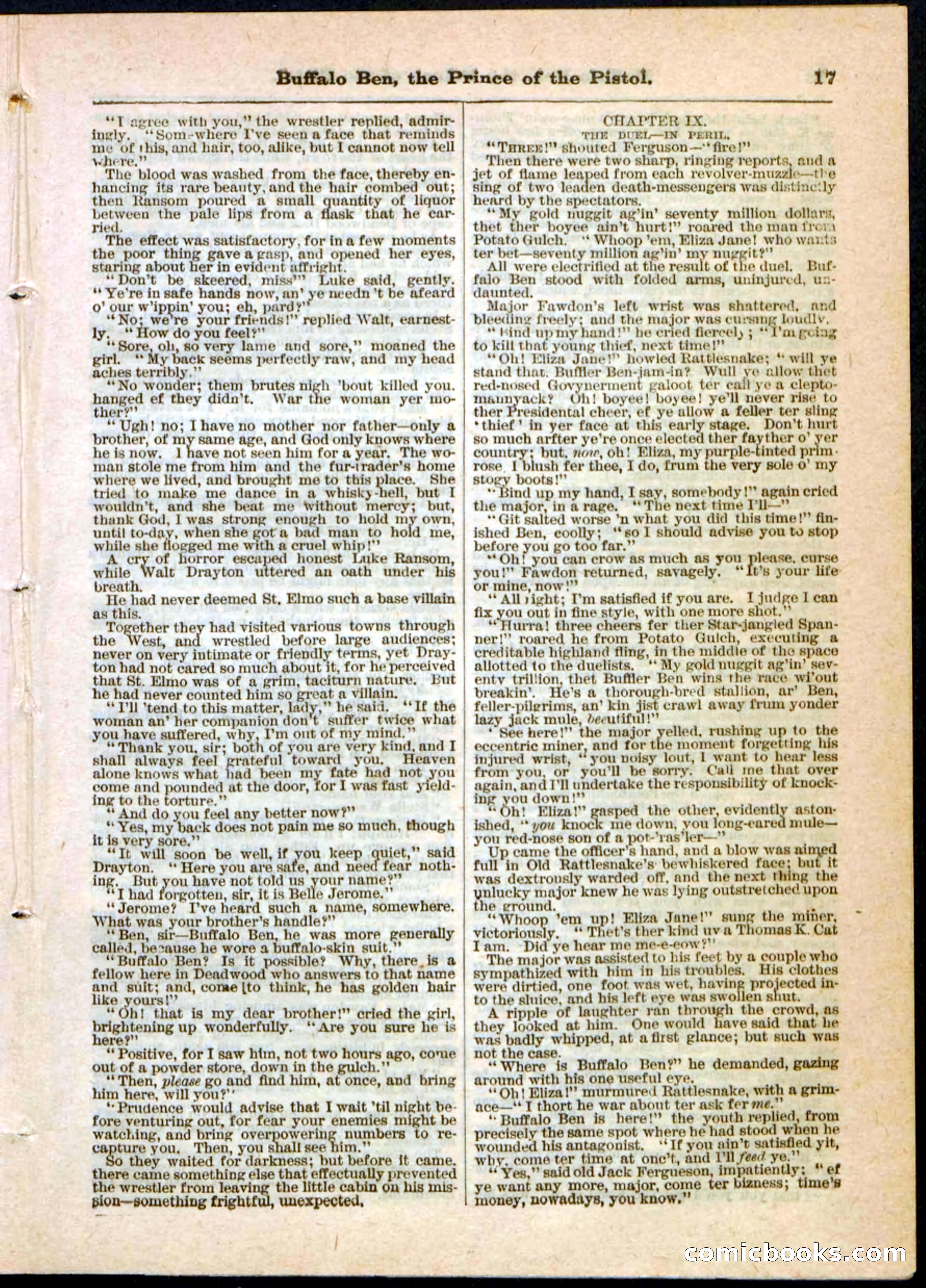 Beadle's Pocket Library, No. 10 — page 17 of 32