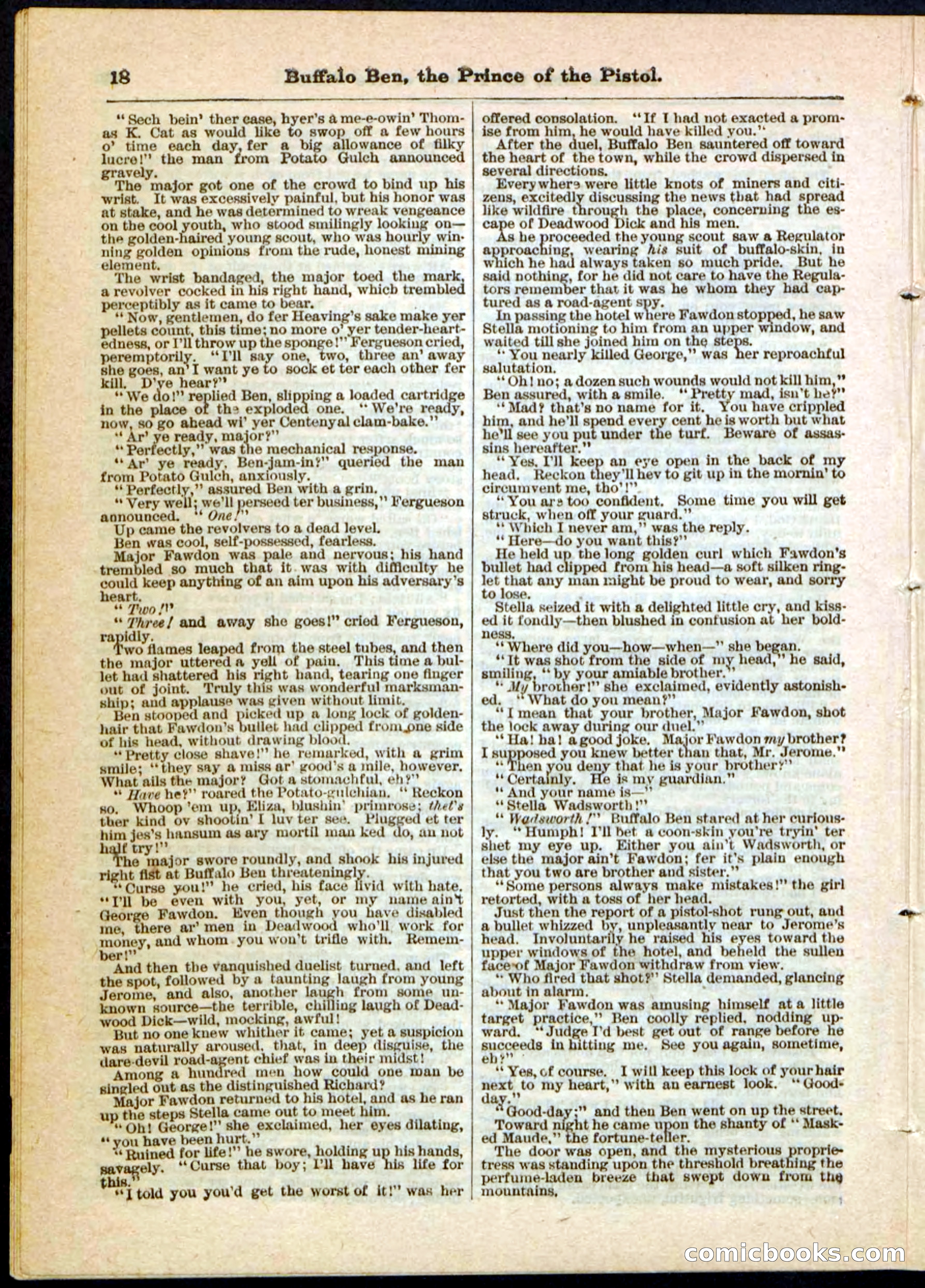 Beadle's Pocket Library, No. 10 — page 18 of 32