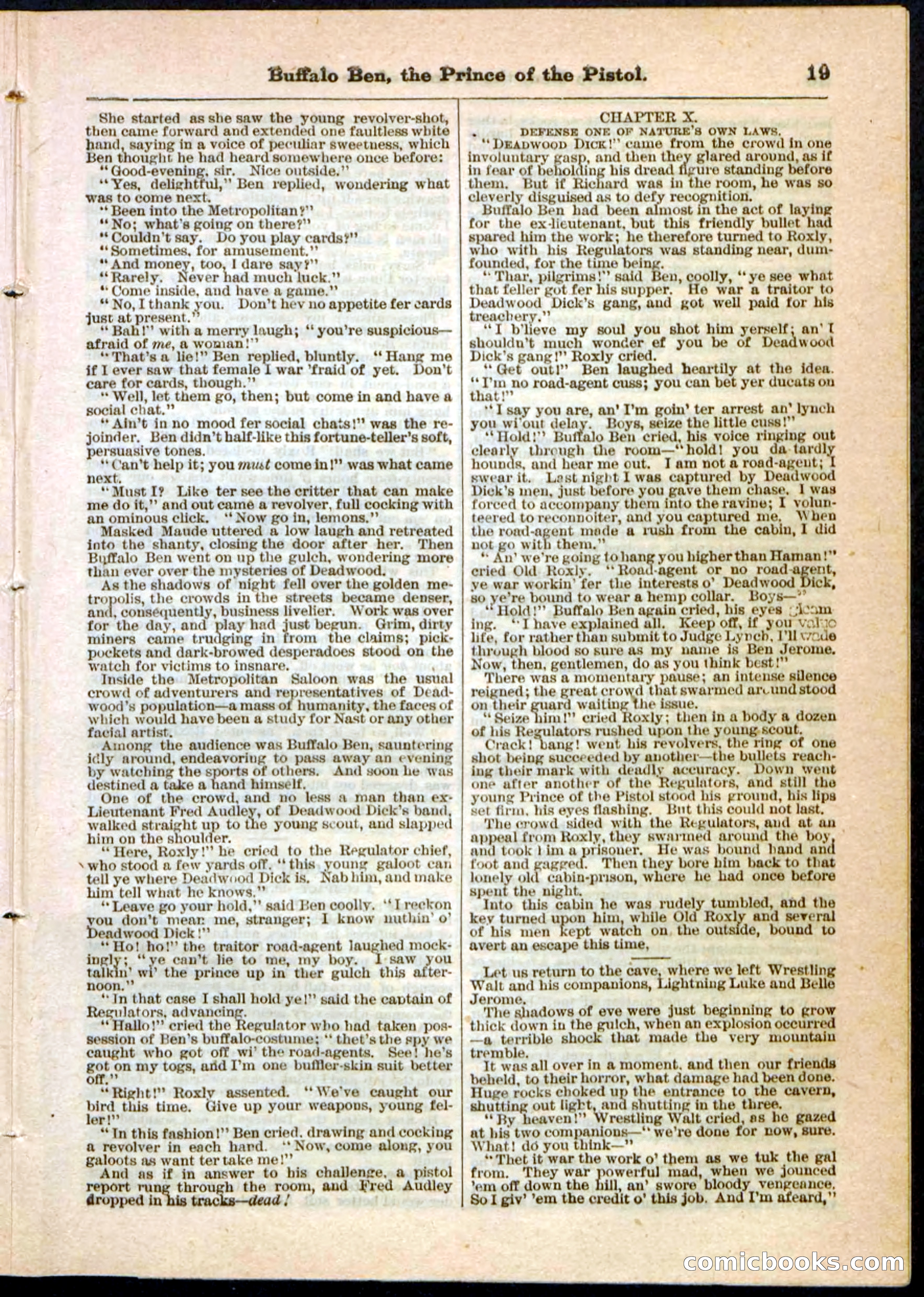 Beadle's Pocket Library, No. 10 — page 19 of 32