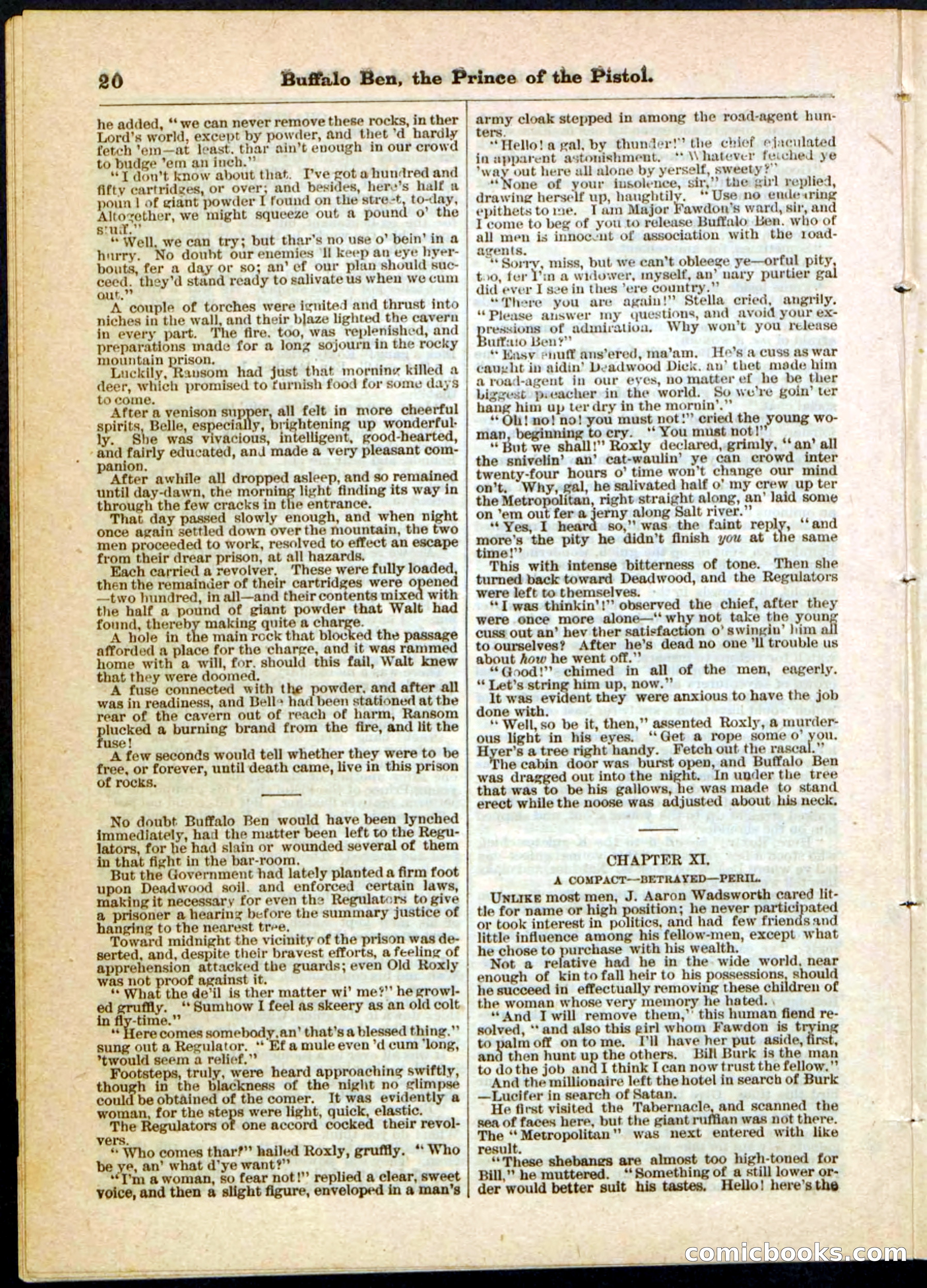 Beadle's Pocket Library, No. 10 — page 20 of 32