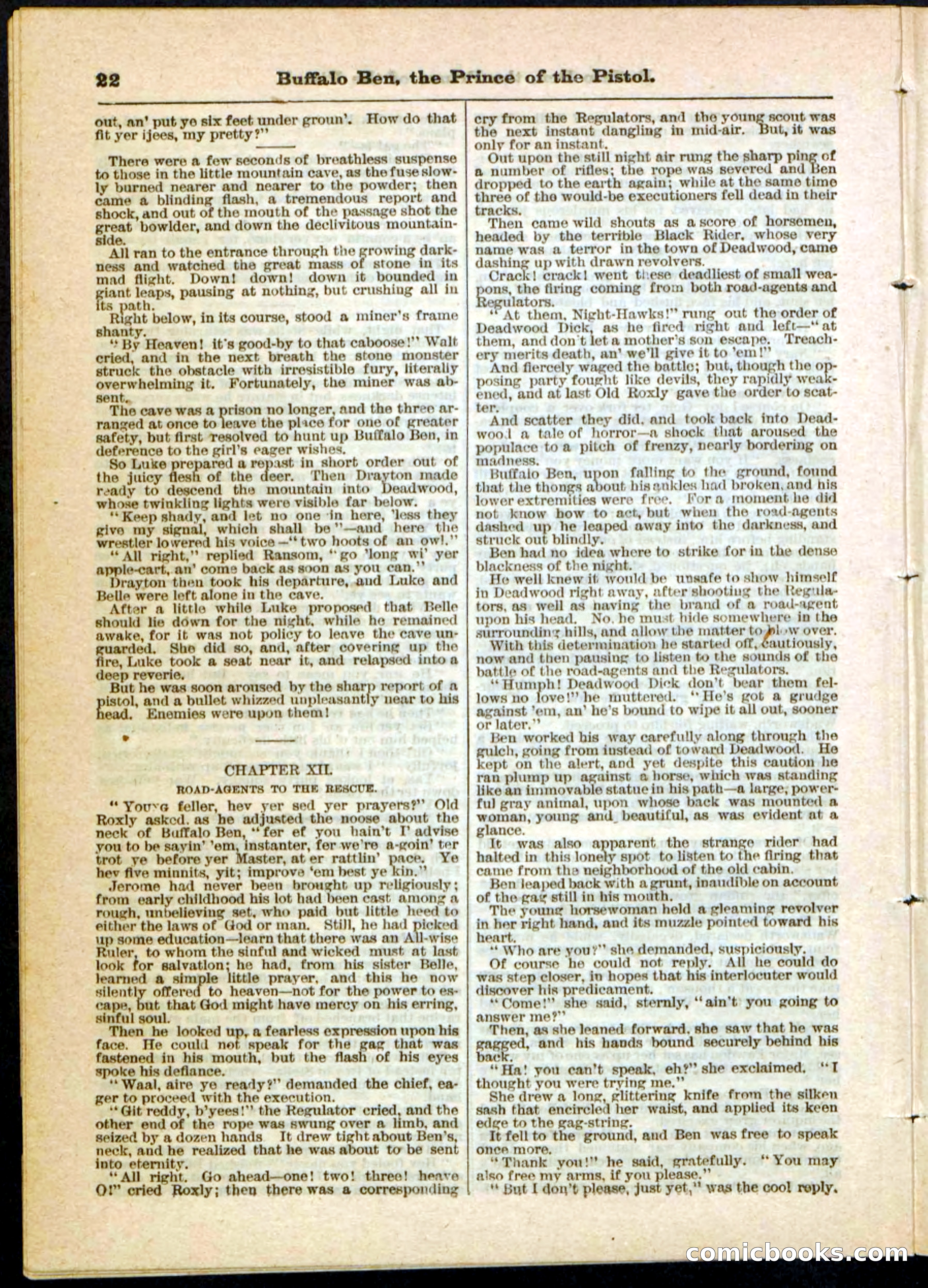 Beadle's Pocket Library, No. 10 — page 22 of 32