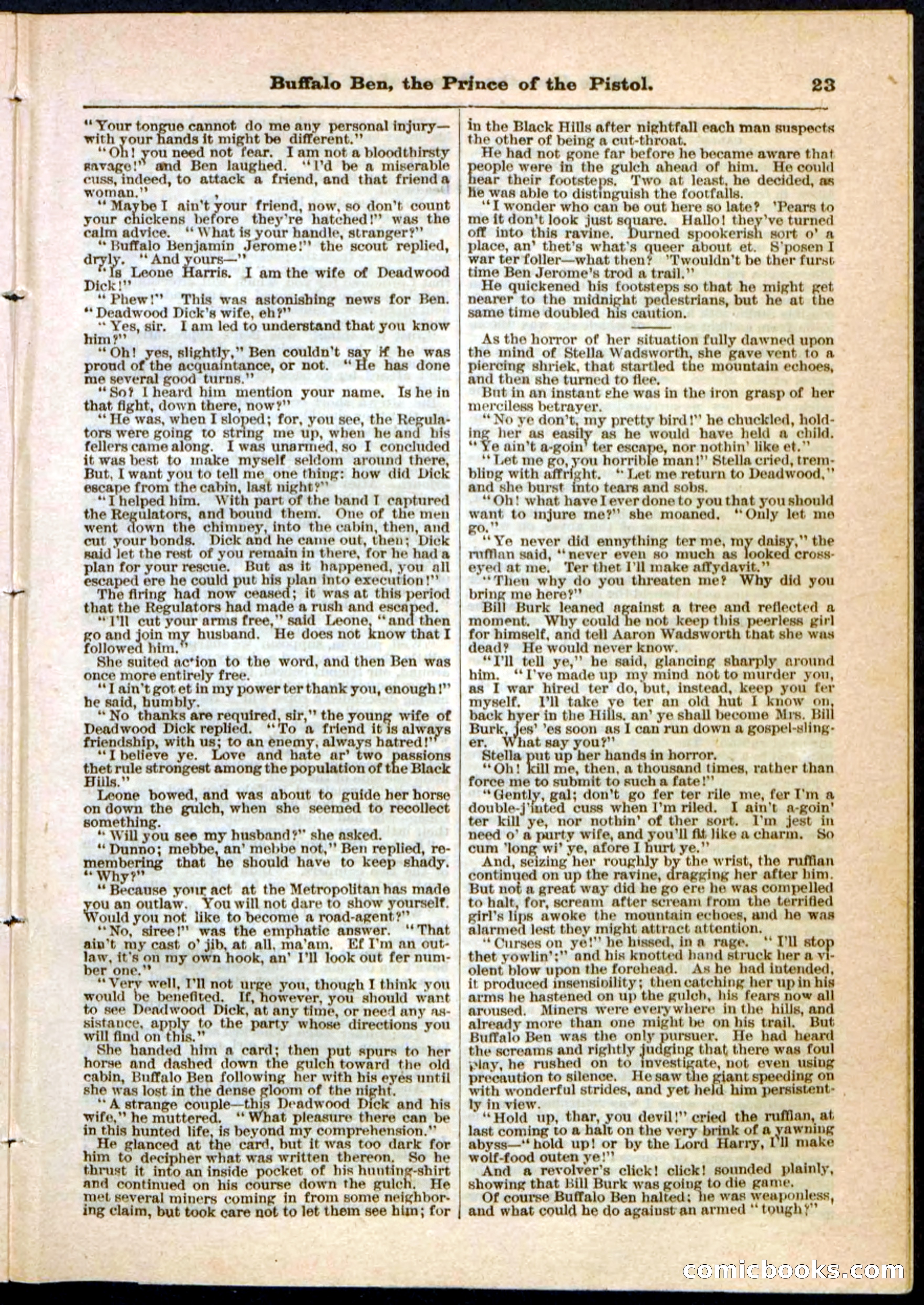 Beadle's Pocket Library, No. 10 — page 23 of 32