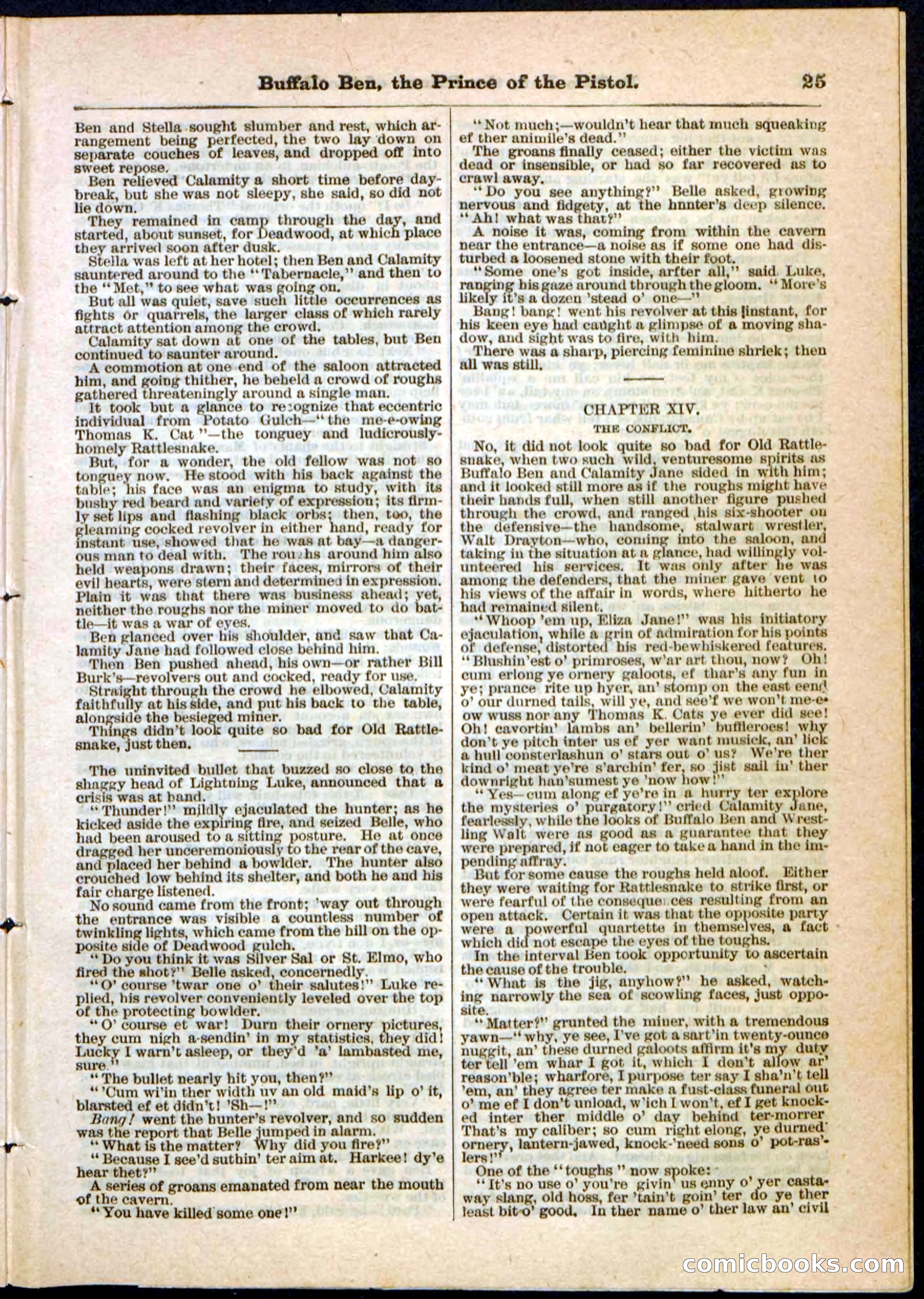Beadle's Pocket Library, No. 10 — page 25 of 32