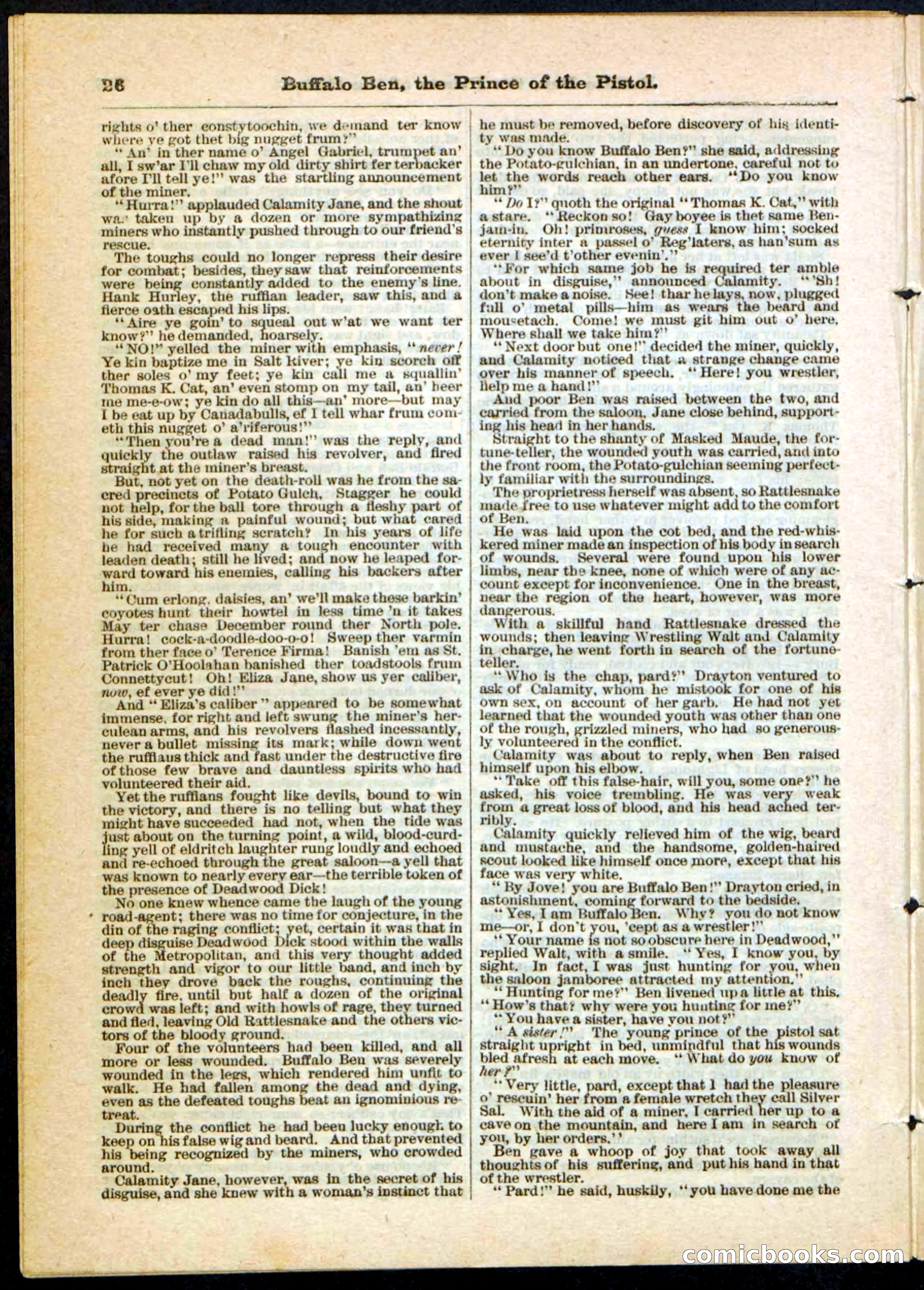 Beadle's Pocket Library, No. 10 — page 26 of 32