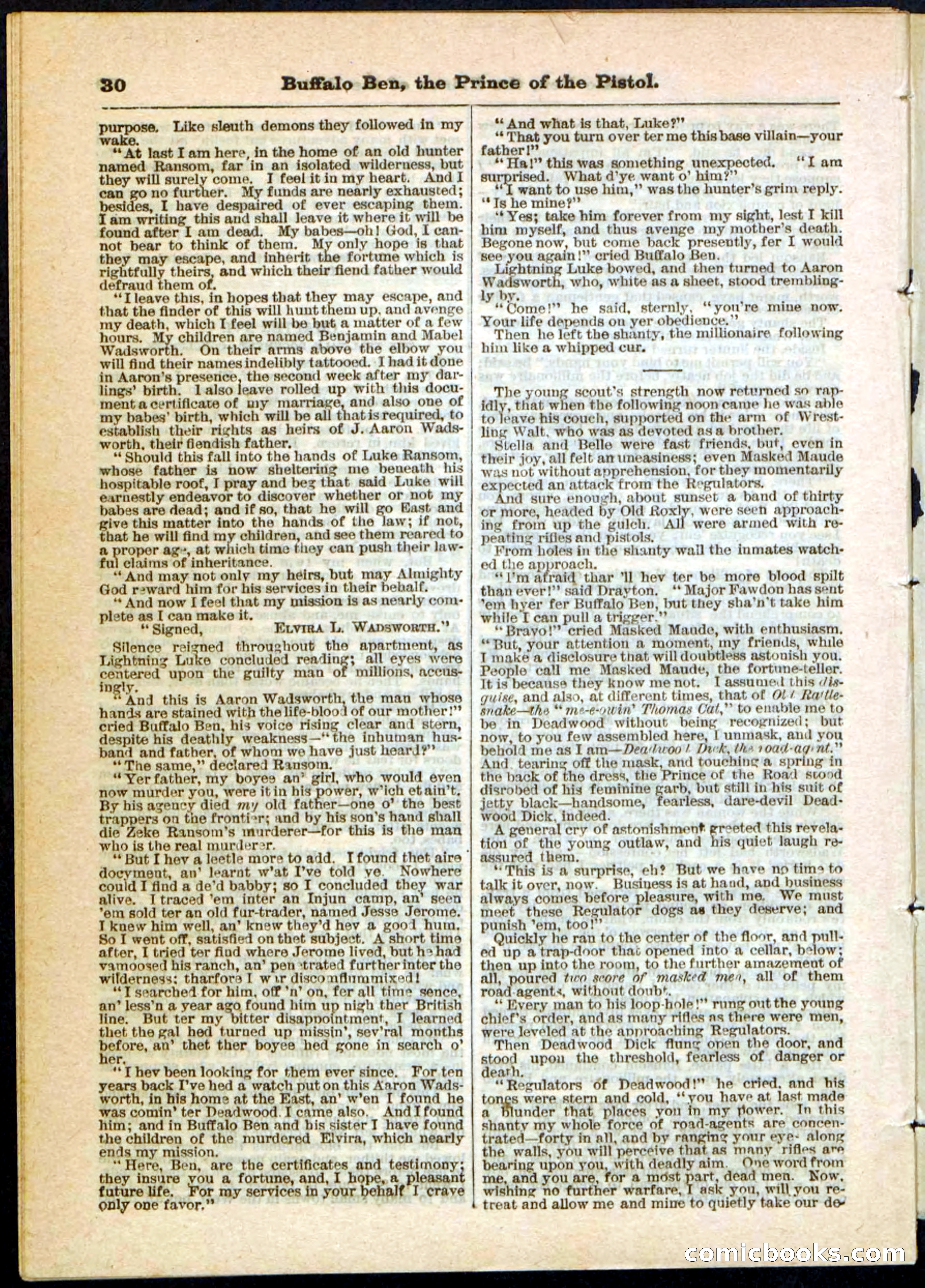Beadle's Pocket Library, No. 10 — page 30 of 32