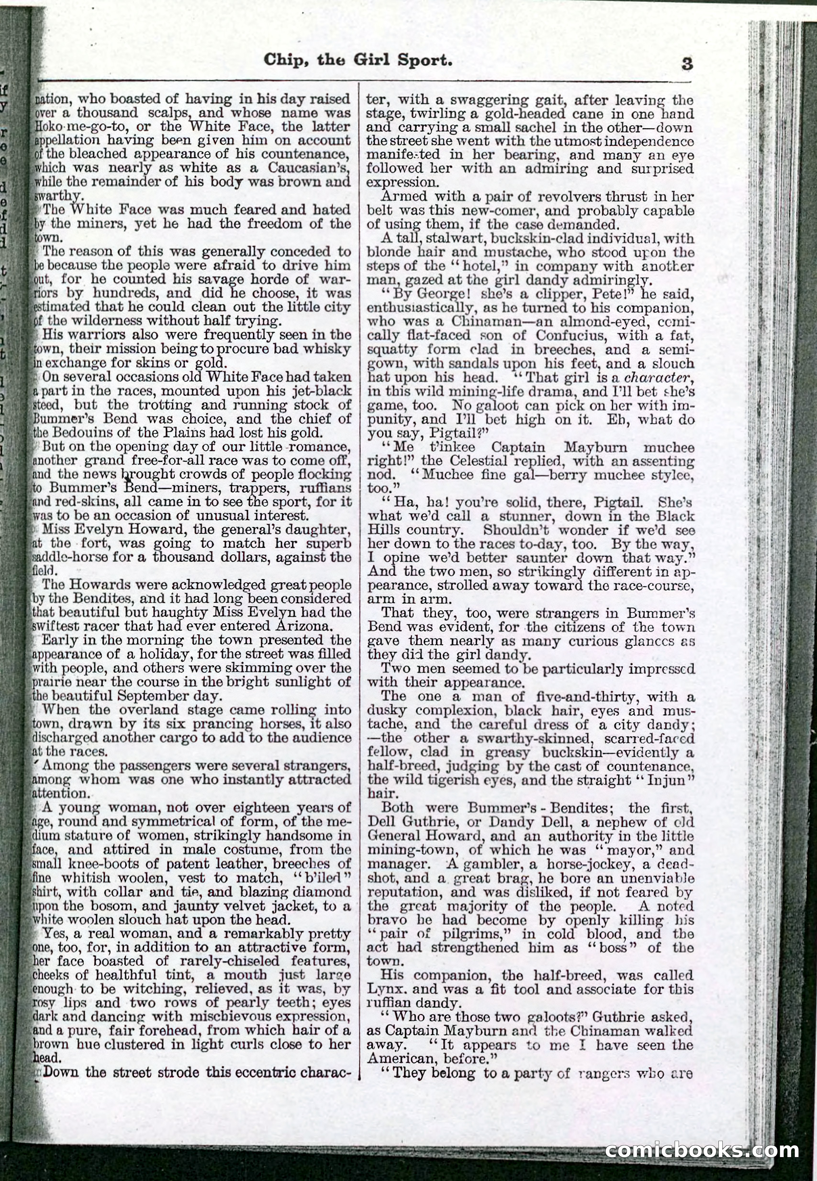 Beadle's Pocket Library No. 103 — page 3 of 32