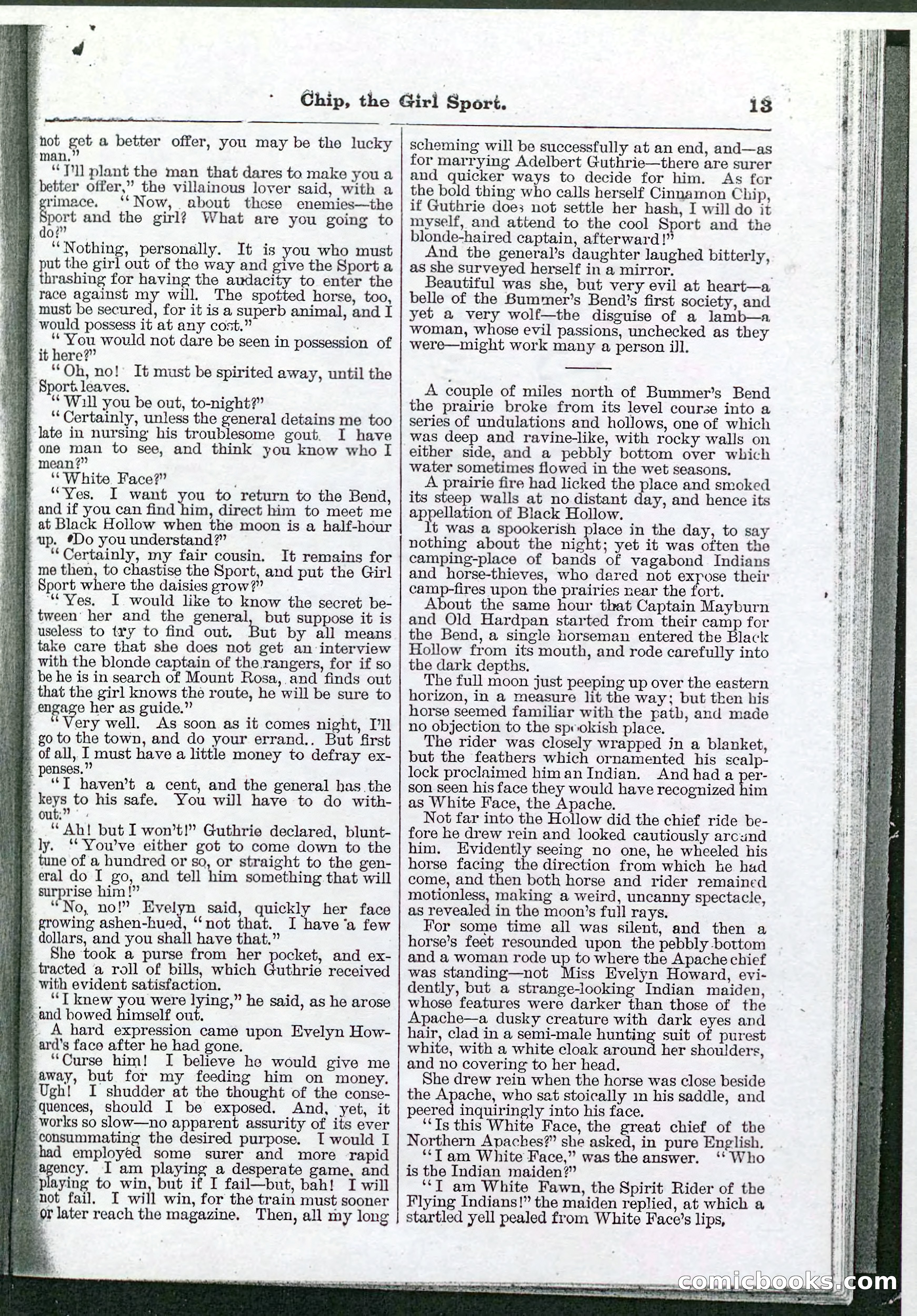 Beadle's Pocket Library No. 103 — page 13 of 32
