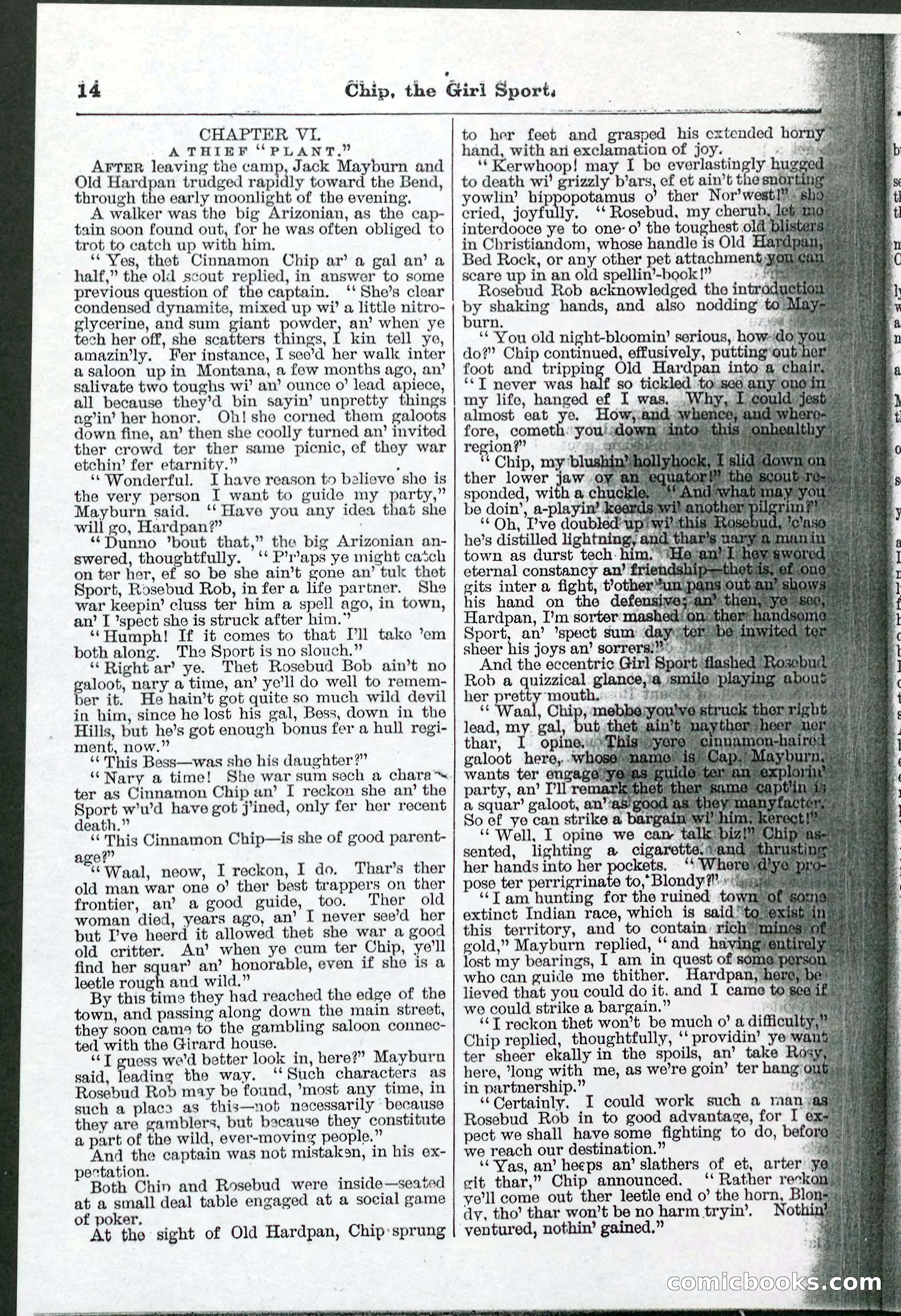 Beadle's Pocket Library No. 103 — page 14 of 32