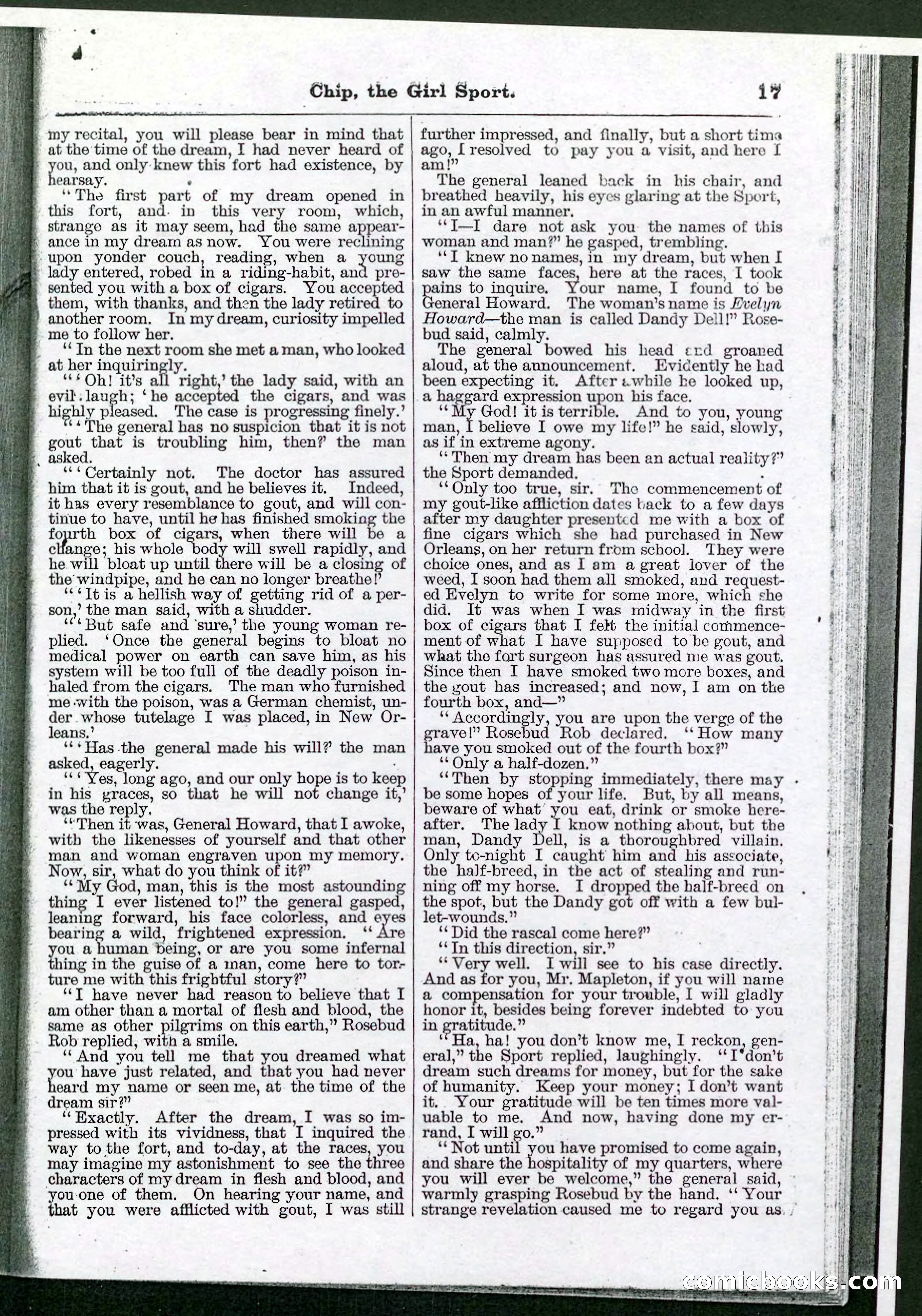 Beadle's Pocket Library No. 103 — page 17 of 32