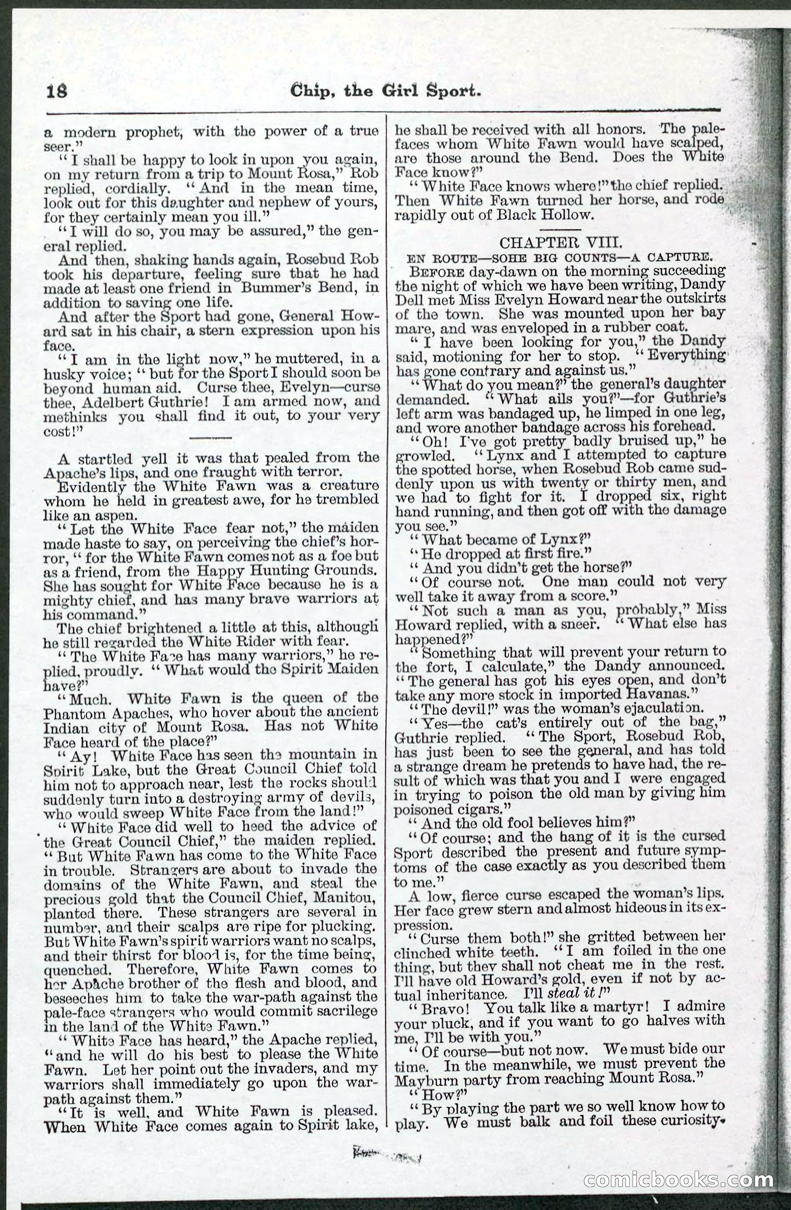 Beadle's Pocket Library No. 103 — page 18 of 32