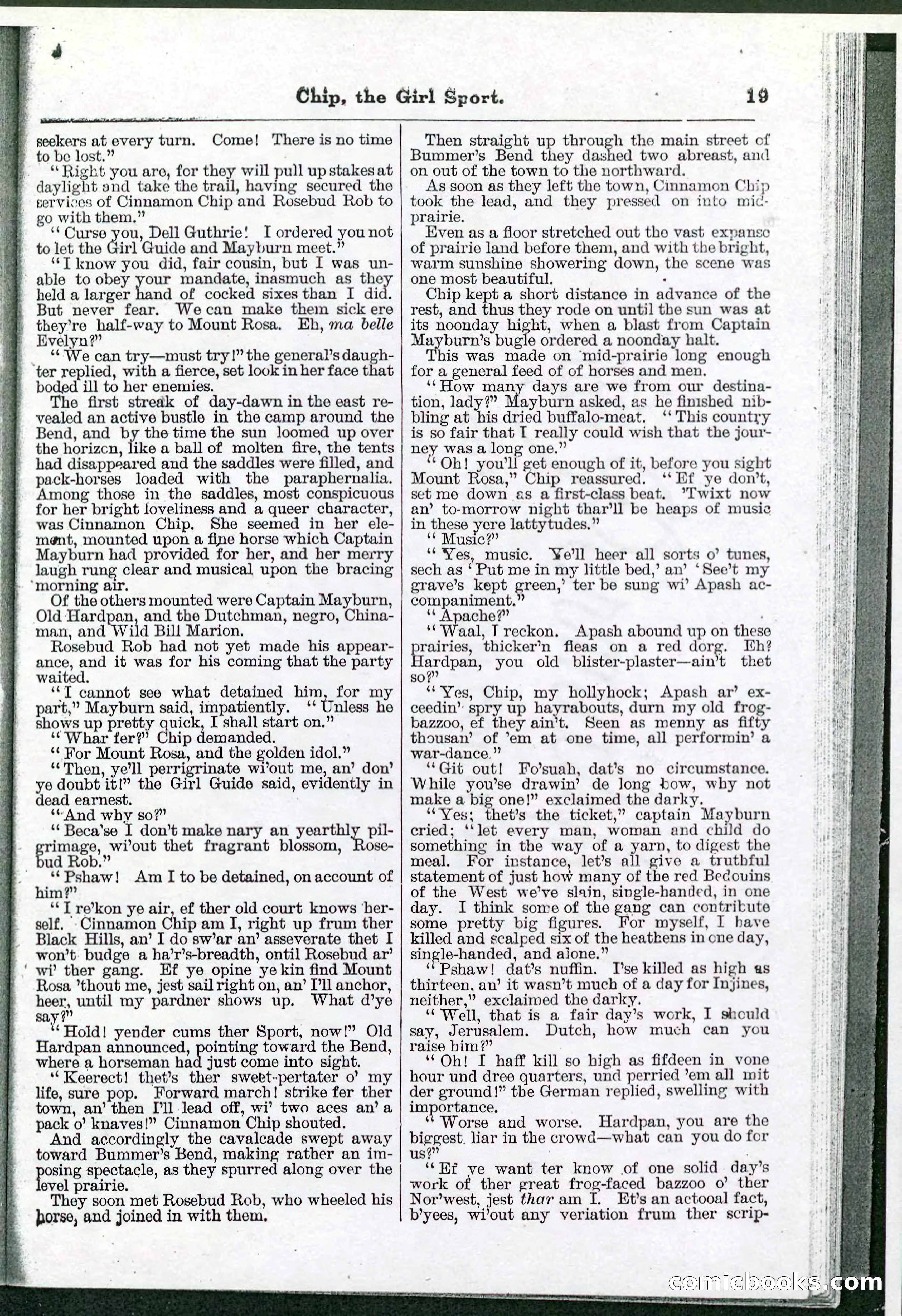 Beadle's Pocket Library No. 103 — page 19 of 32