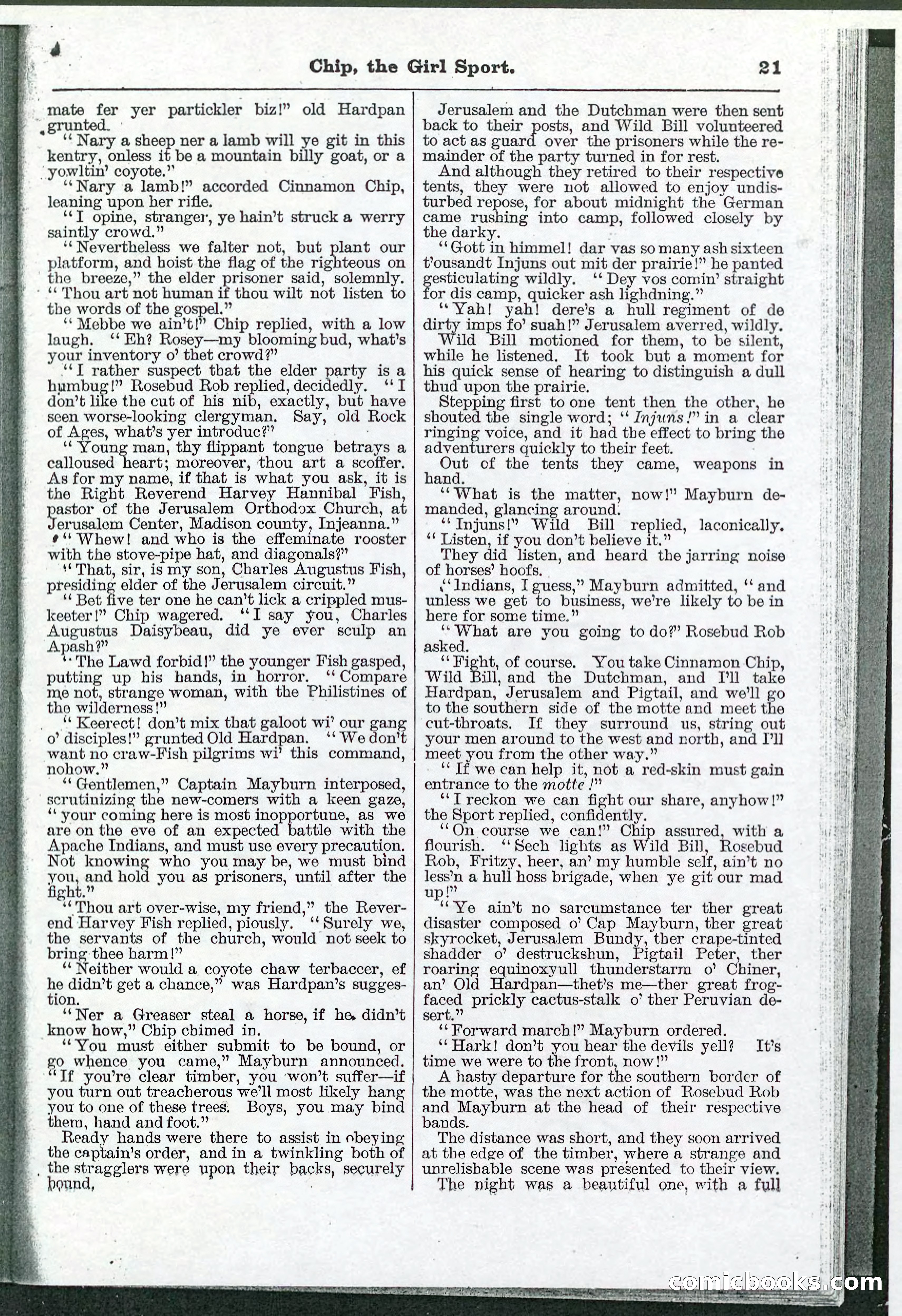 Beadle's Pocket Library No. 103 — page 21 of 32