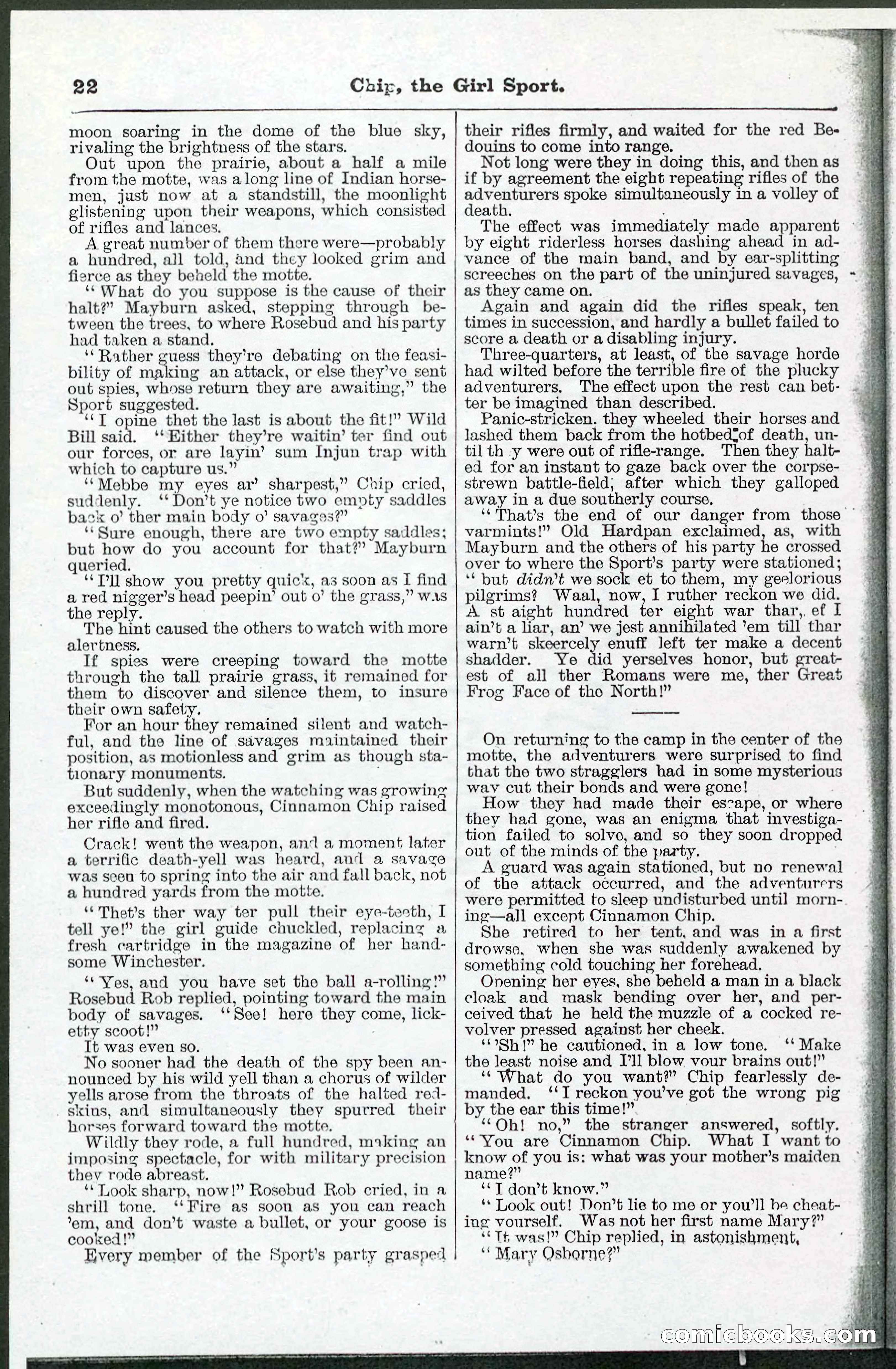 Beadle's Pocket Library No. 103 — page 22 of 32