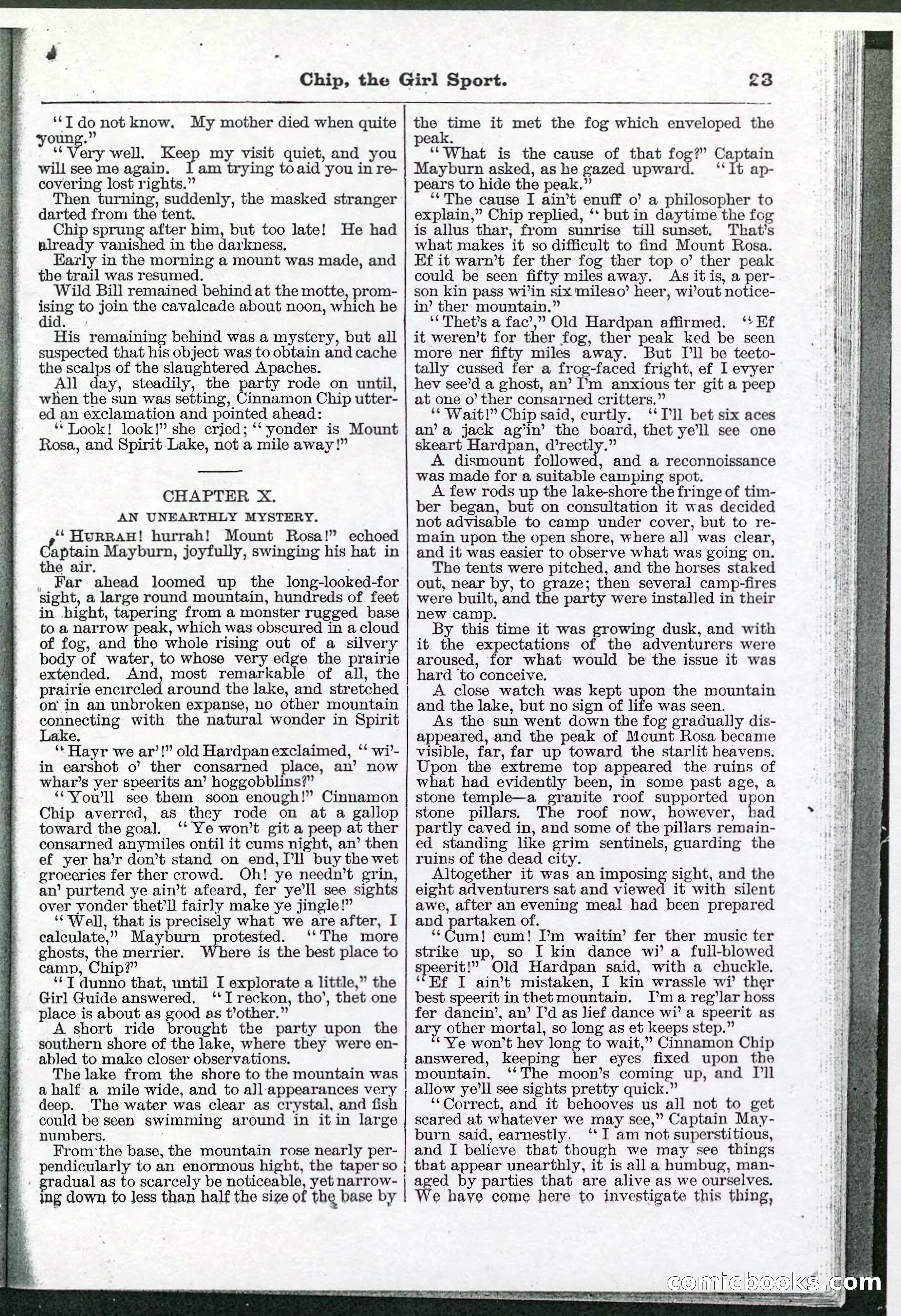 Beadle's Pocket Library No. 103 — page 23 of 32